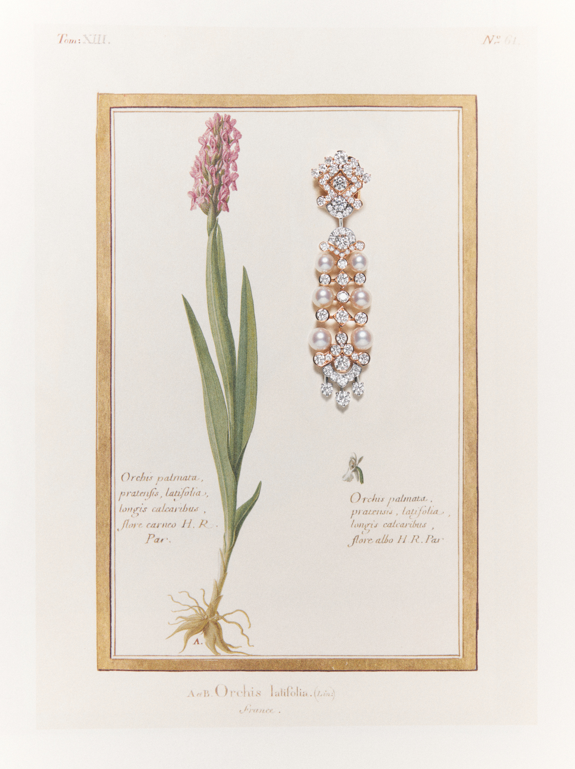 Talent and Partner, Nathan Robin: In Style China — Tiny Giants (Fig. 2)