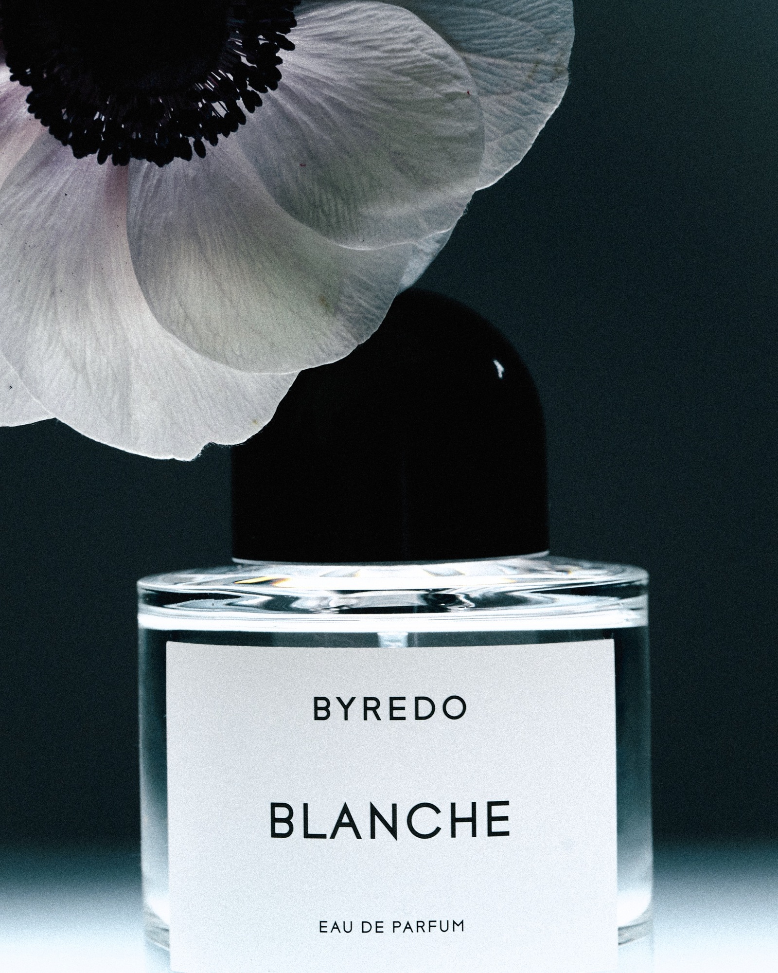 Talent and Partner, Aurore Piedigrossi: Portfolio (Fig. 76)