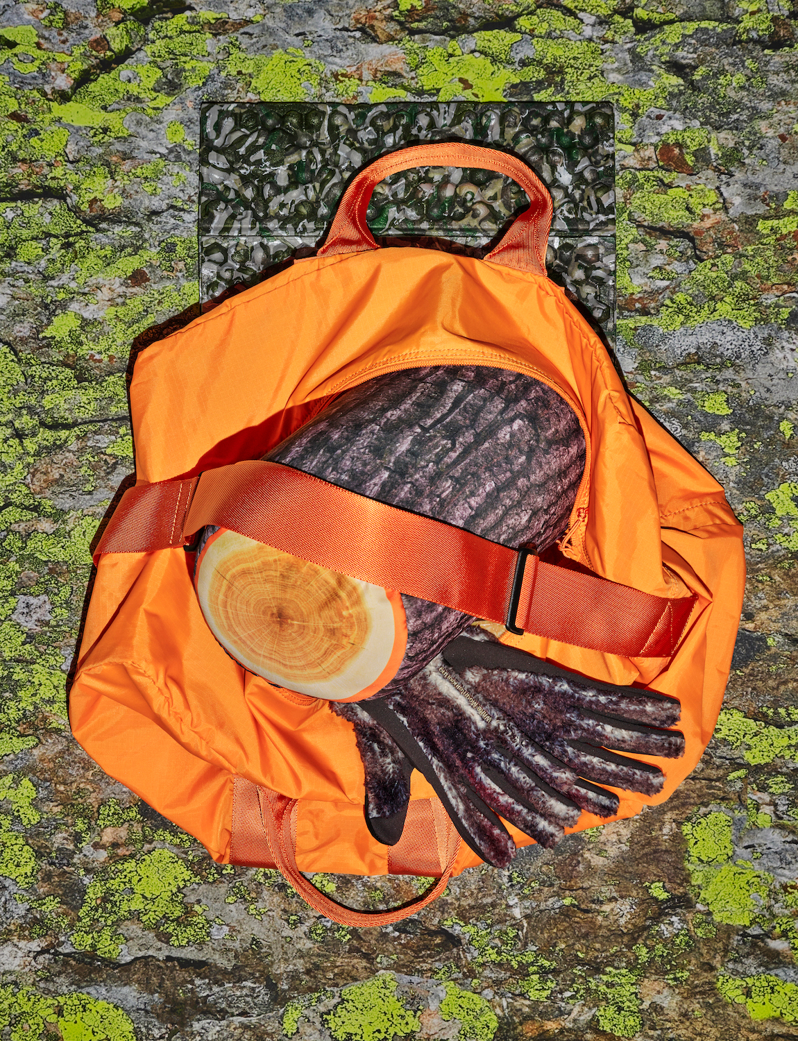 Talent and Partner, Scheltens & Abbenes: The Plant — Hiking (Fig. 2)