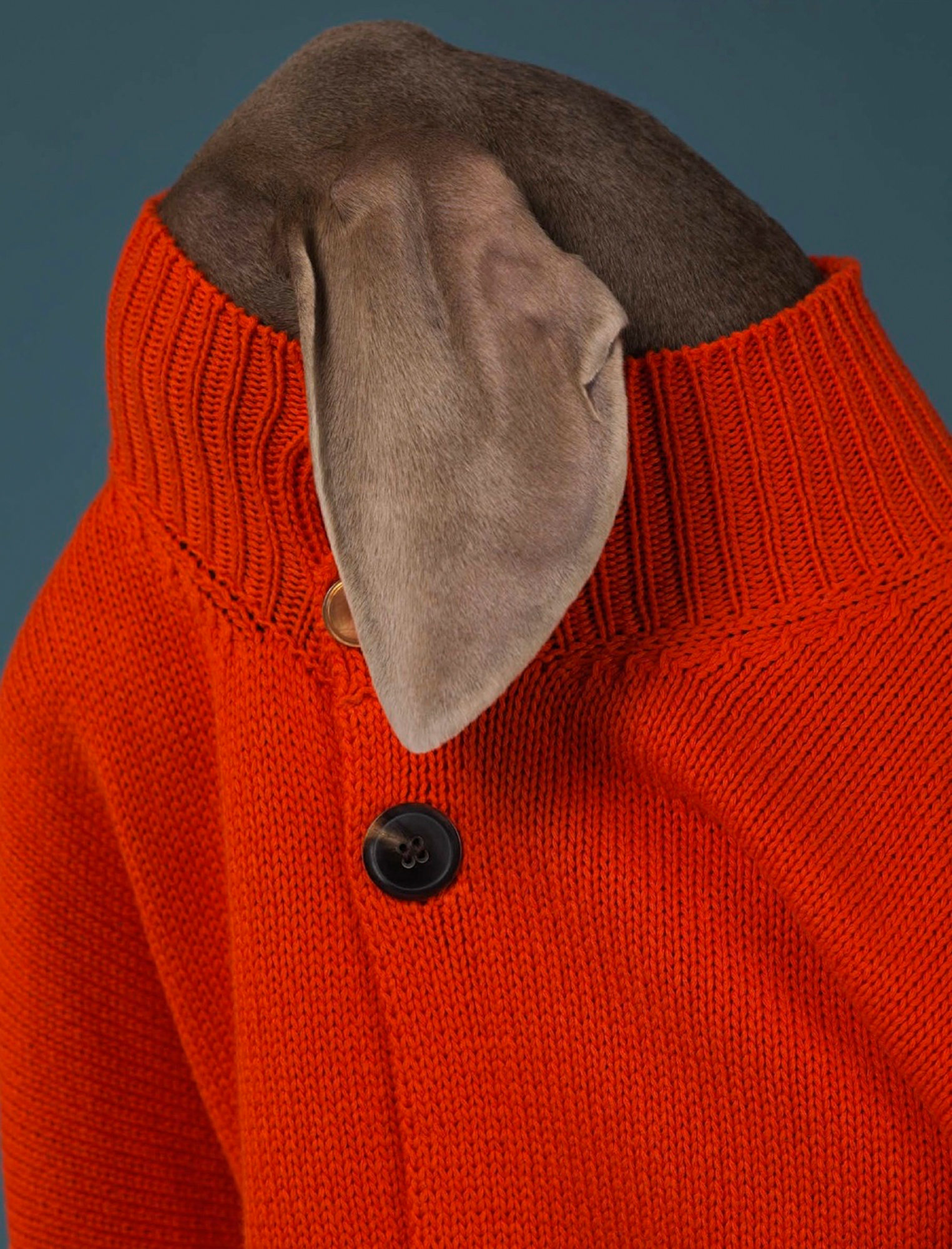 Talent and Partner, Samuel François: Portfolio (Fig. 131)