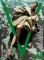 Talent and Partner, Sofia Sanchez & Mauro Mongiello: V Magazine China — Joan Chen (Thumbnail)