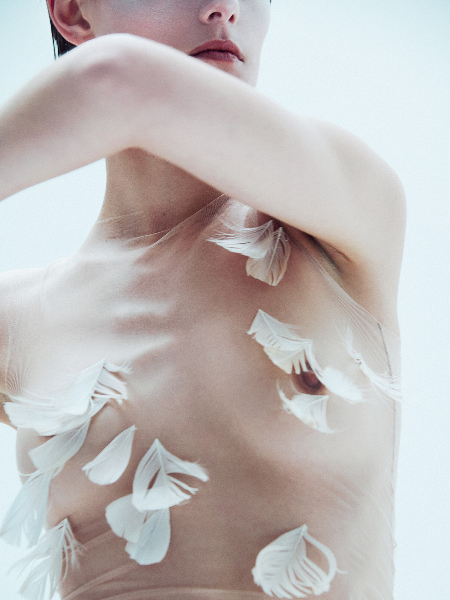 Talent and Partner, Samuel François: Portfolio (Fig. 52)