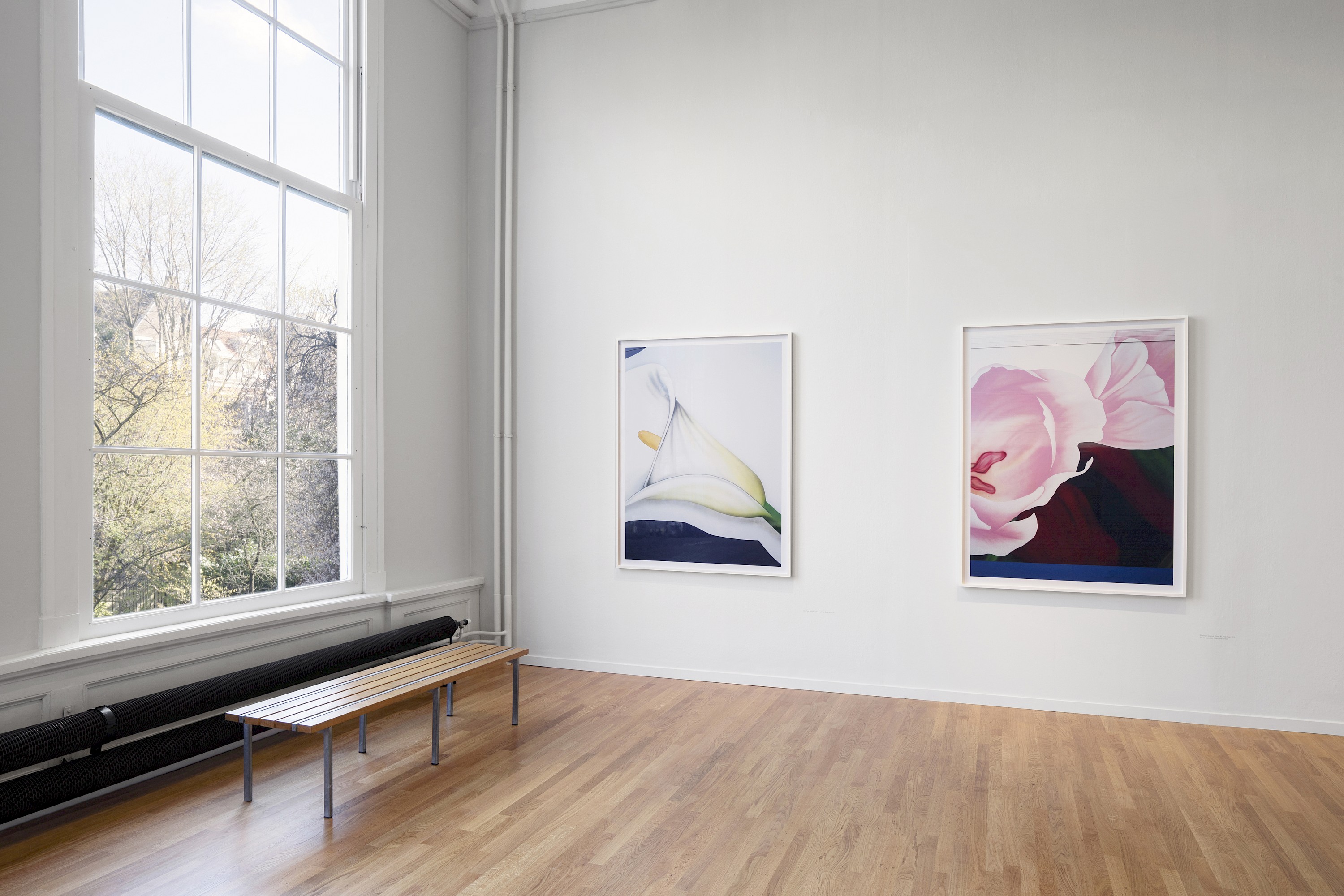 Talent and Partner, Scheltens & Abbenes: Exhibitions & Books (Fig. 33)