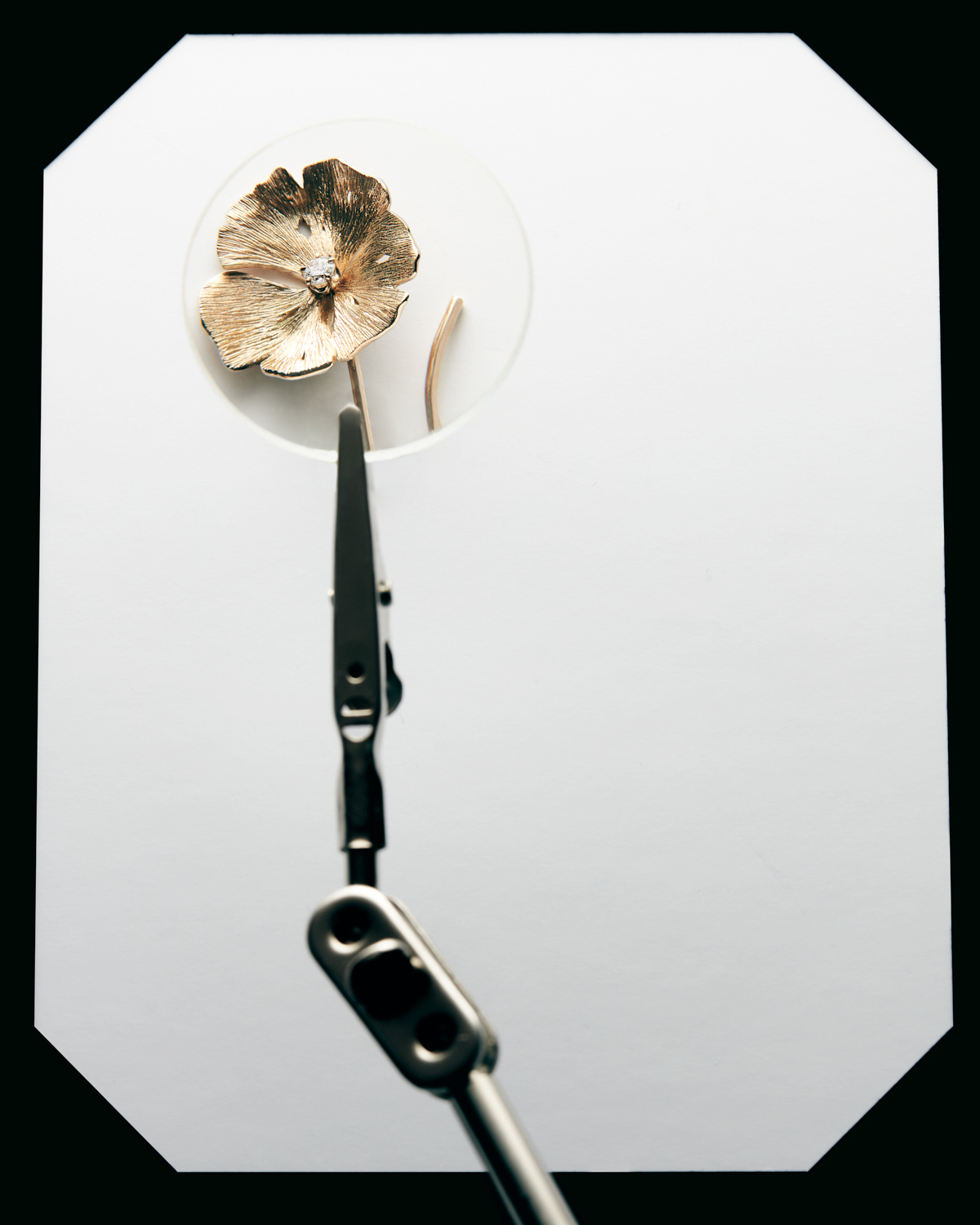 Talent and Partner, Aurore Piedigrossi: Portfolio (Fig. 72)