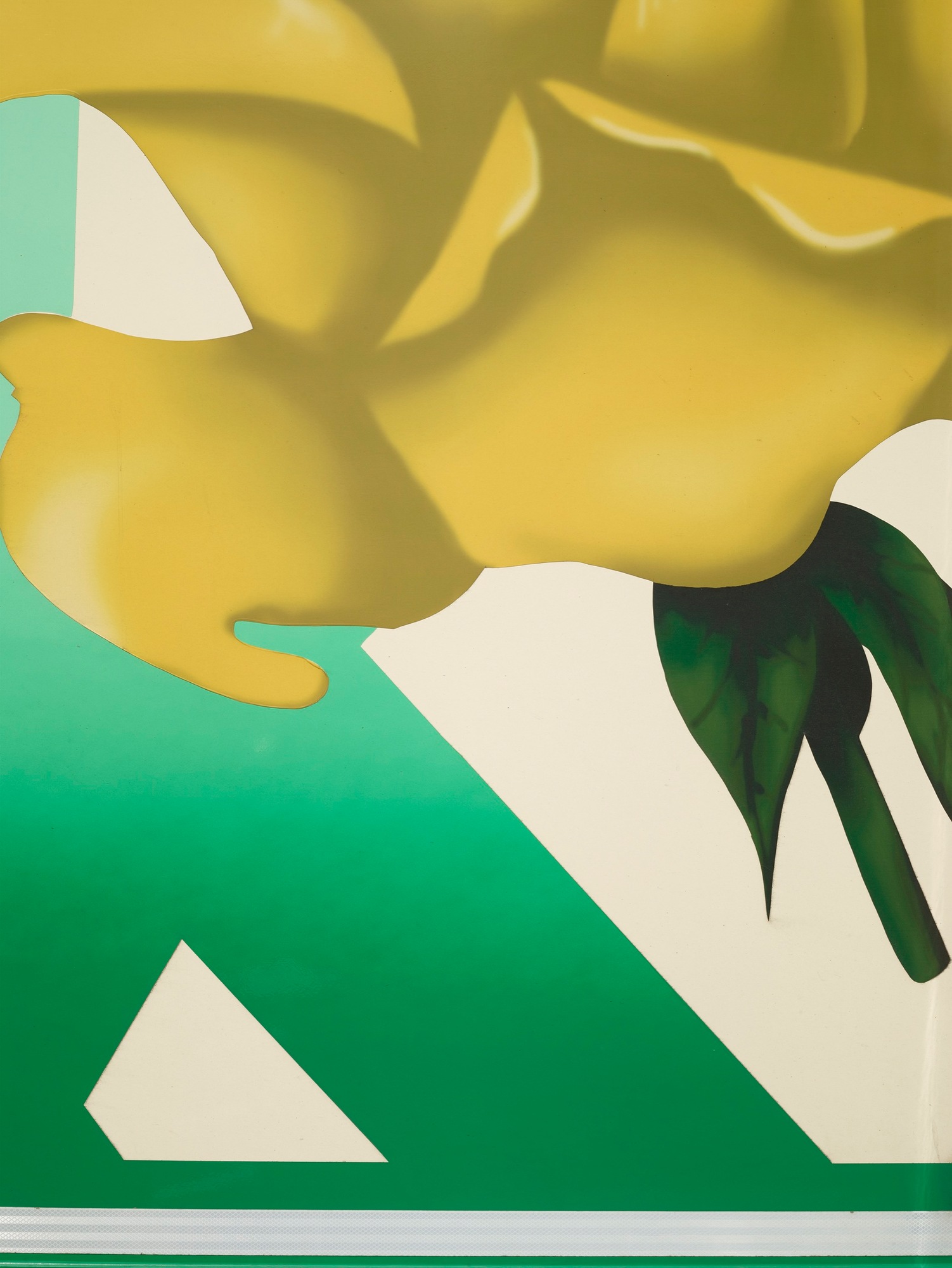 Talent and Partner, Scheltens & Abbenes: Exhibitions & Books (Fig. 32)