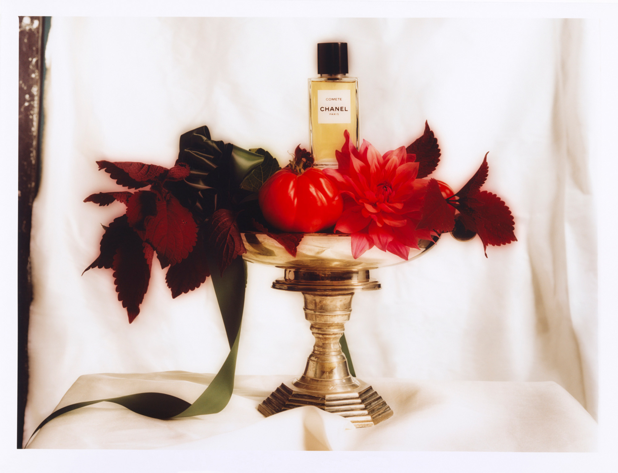 Talent and Partner, Leandro Farina: Portfolio (Fig. 29)