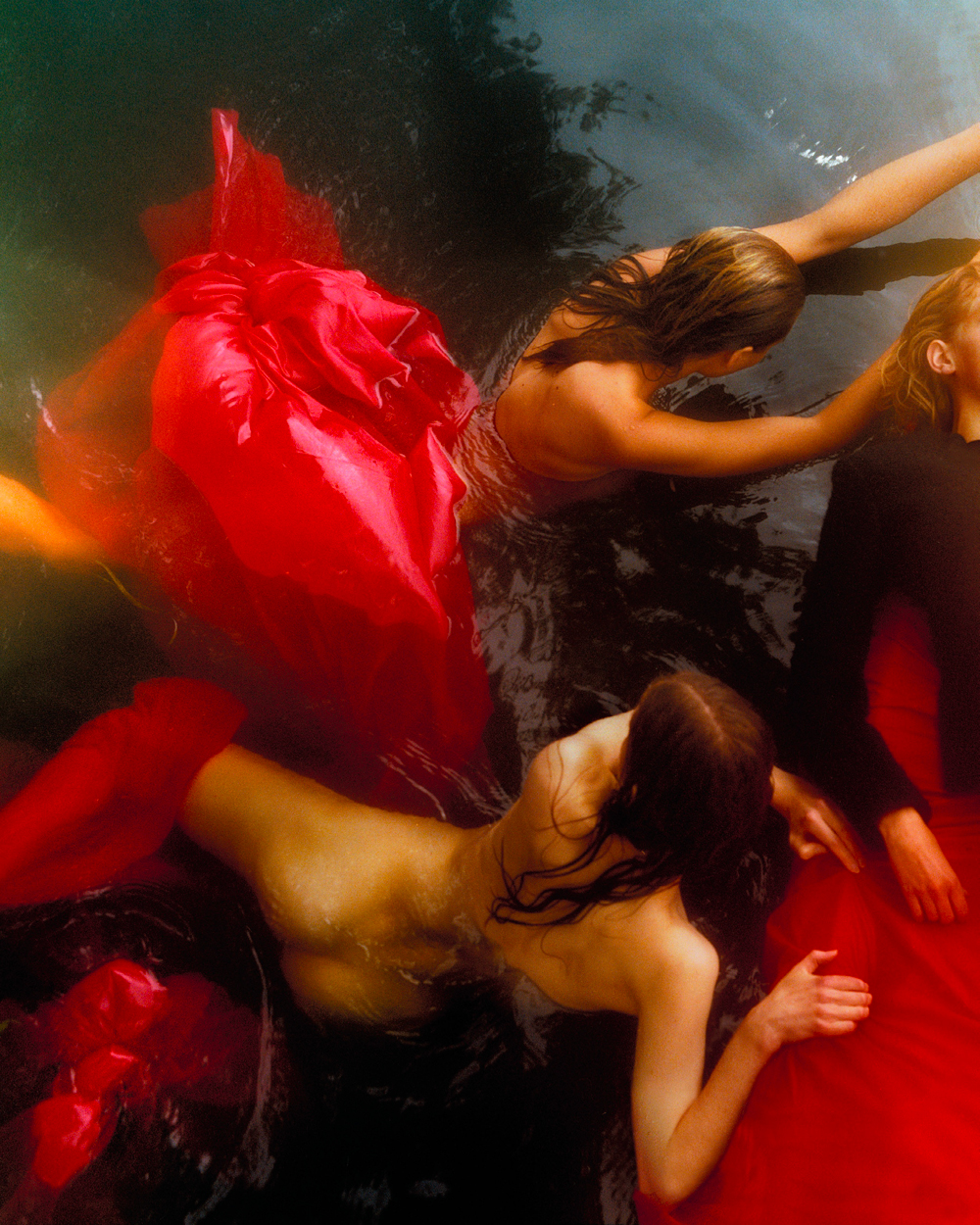 Talent and Partner, Samuel François: Portfolio (Fig. 120)