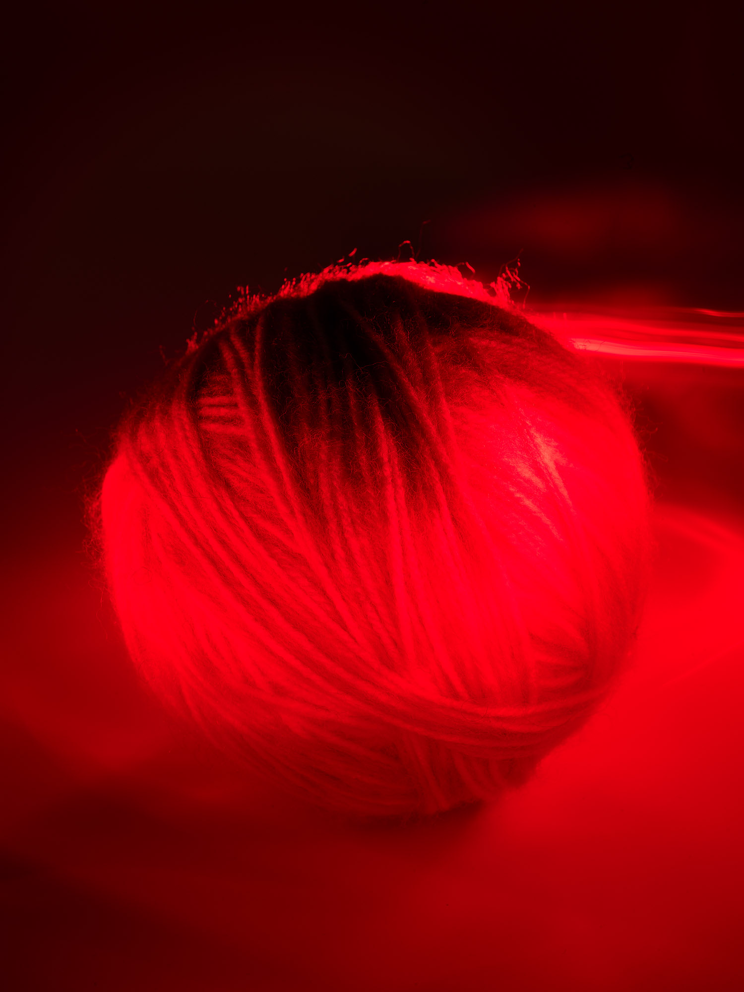 Talent and Partner, Scheltens & Abbenes: The Gentlewoman — Hot (Fig. 8)