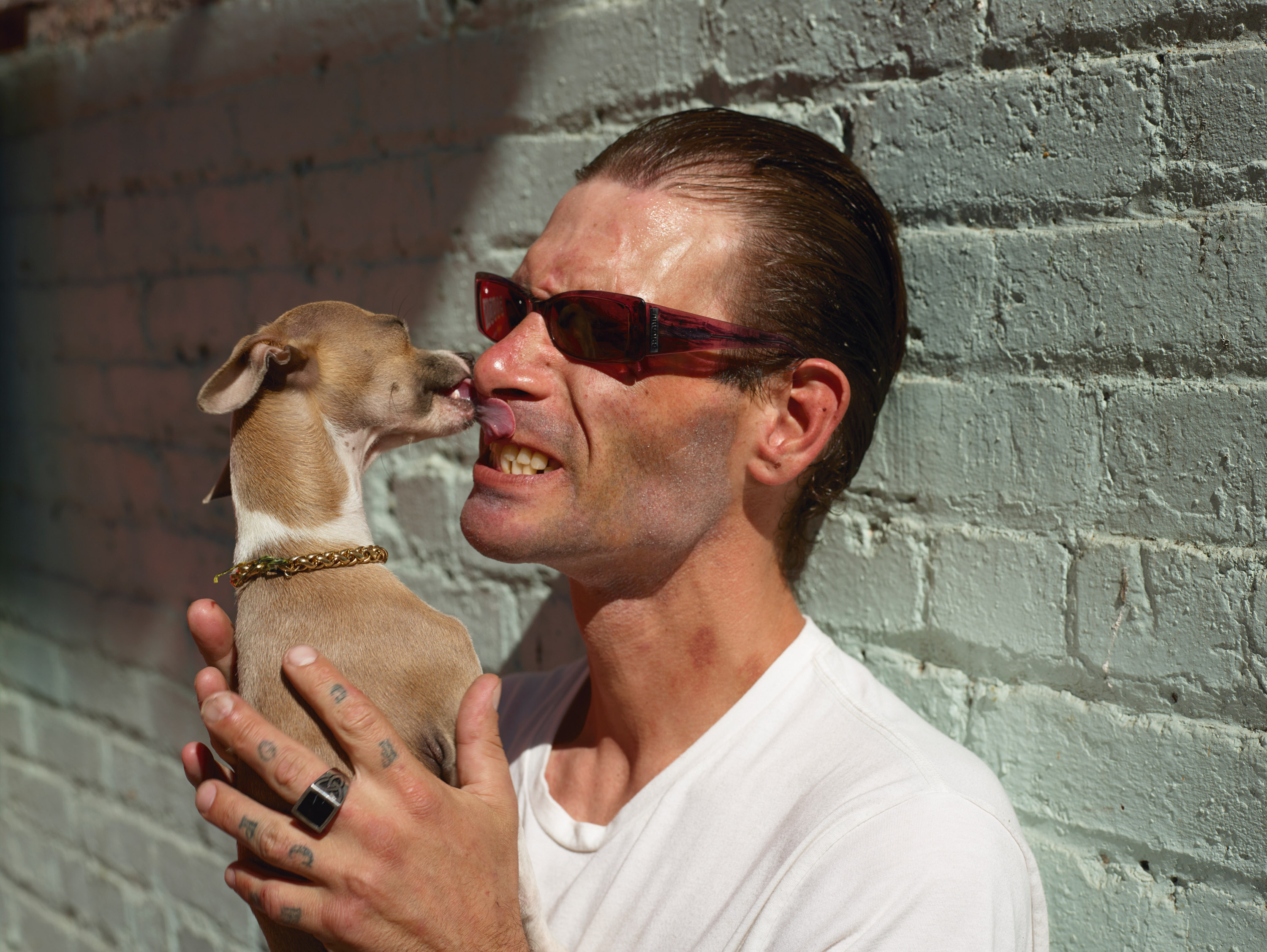 Talent and Partner, Pieter Hugo: Portfolio (Fig. 66)