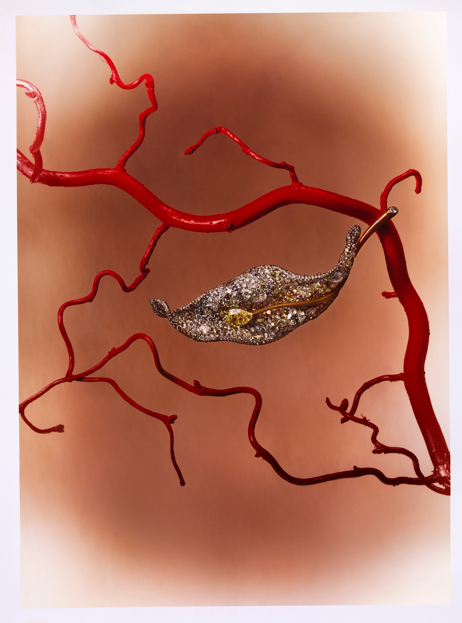 Talent and Partner, Leandro Farina: Portfolio (Fig. 52)