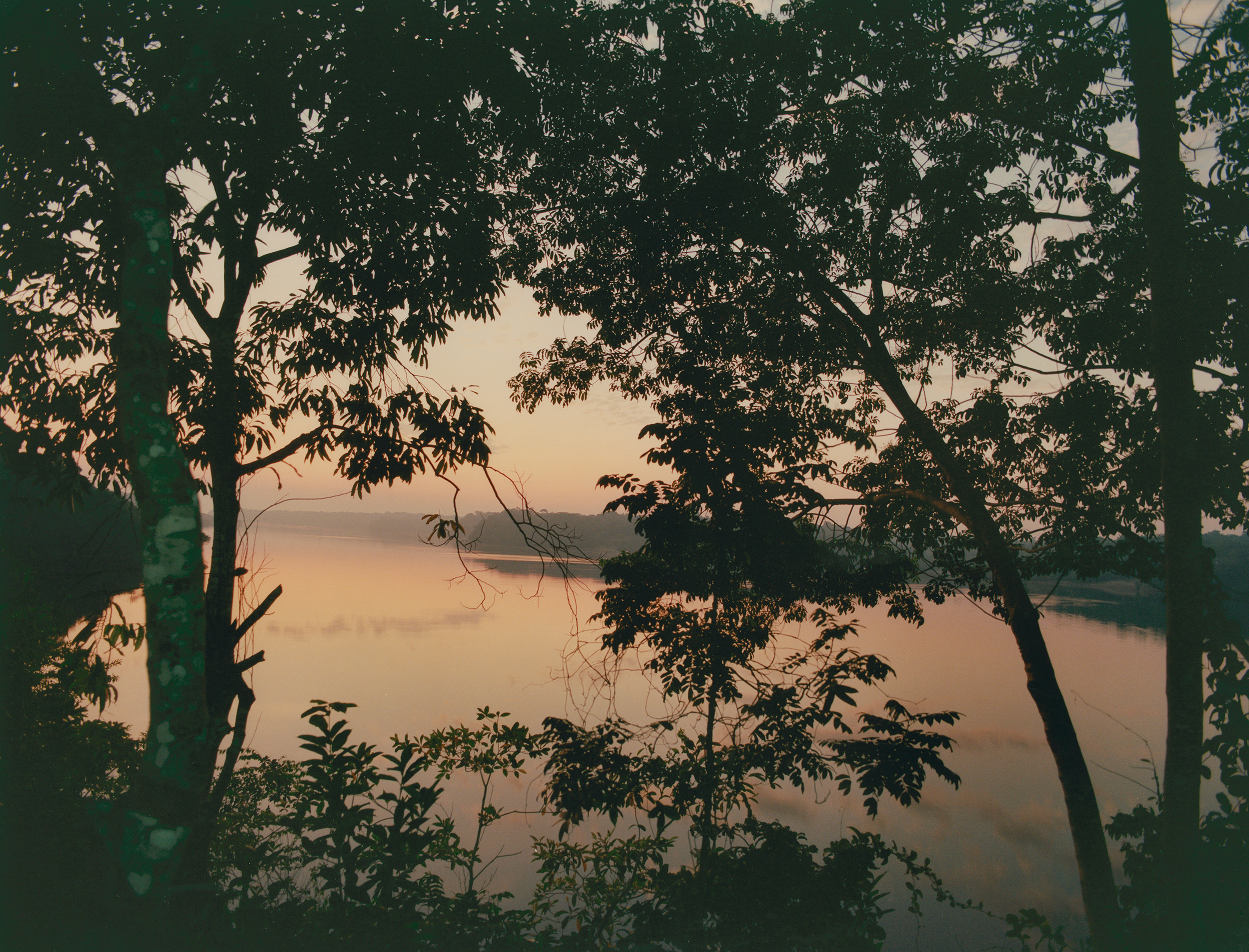 Talent and Partner, Vavá Ribeiro: Project — Encantado (Fig. 6)