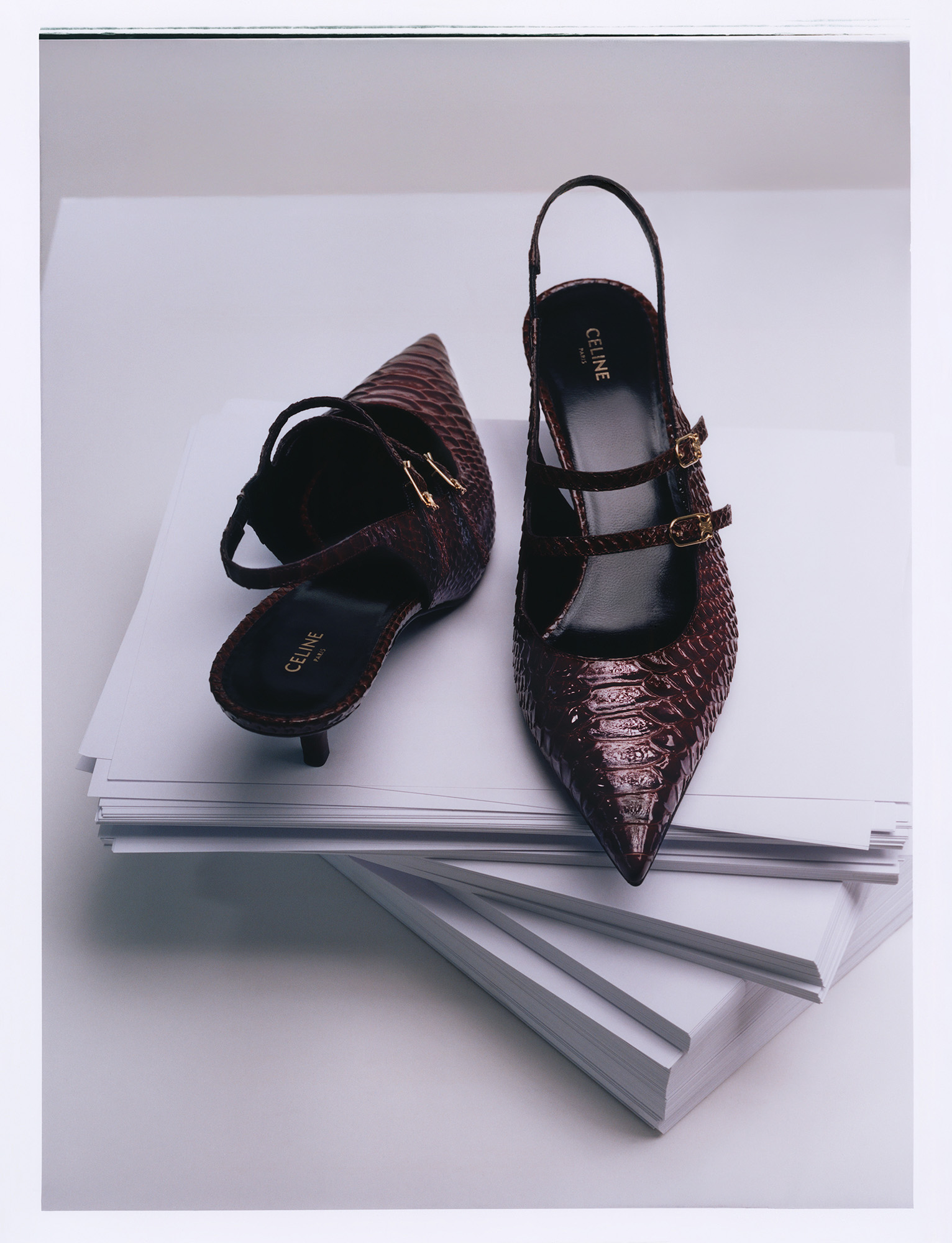 Talent and Partner, Leandro Farina: Shadowplay Magazine (Fig. 6)