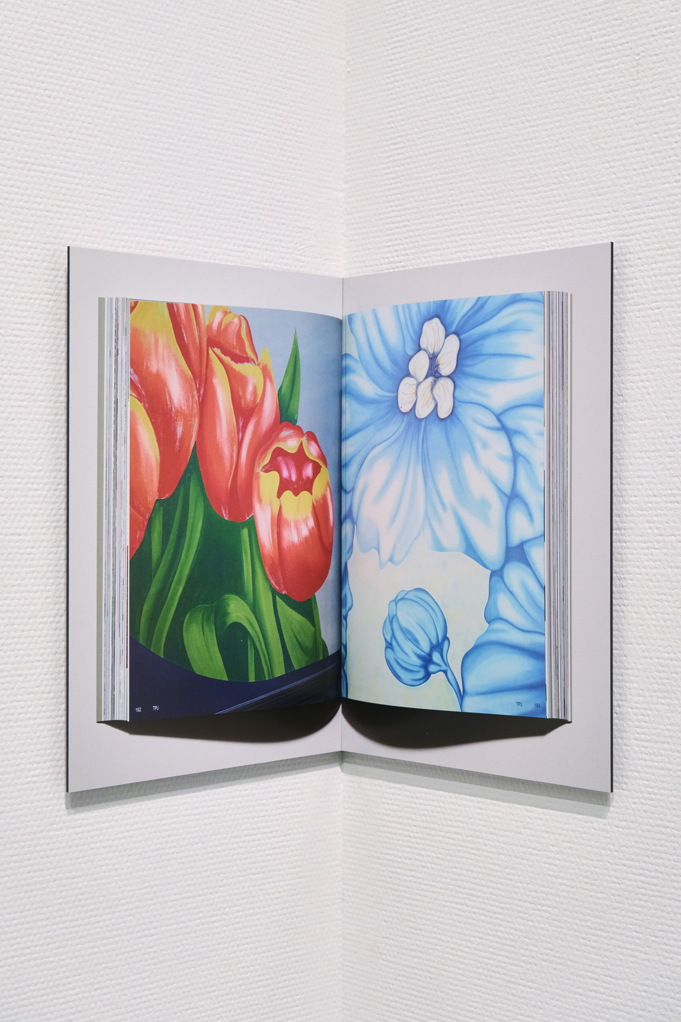 Talent and Partner, Scheltens & Abbenes: Projects — Solo Show — Shenzhen Art Museum (Fig. 26)