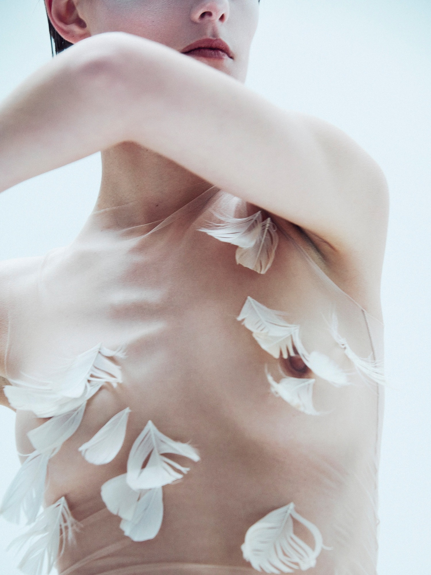 Talent and Partner, Sofia Sanchez & Mauro Mongiello: Beauty (Fig. 48)