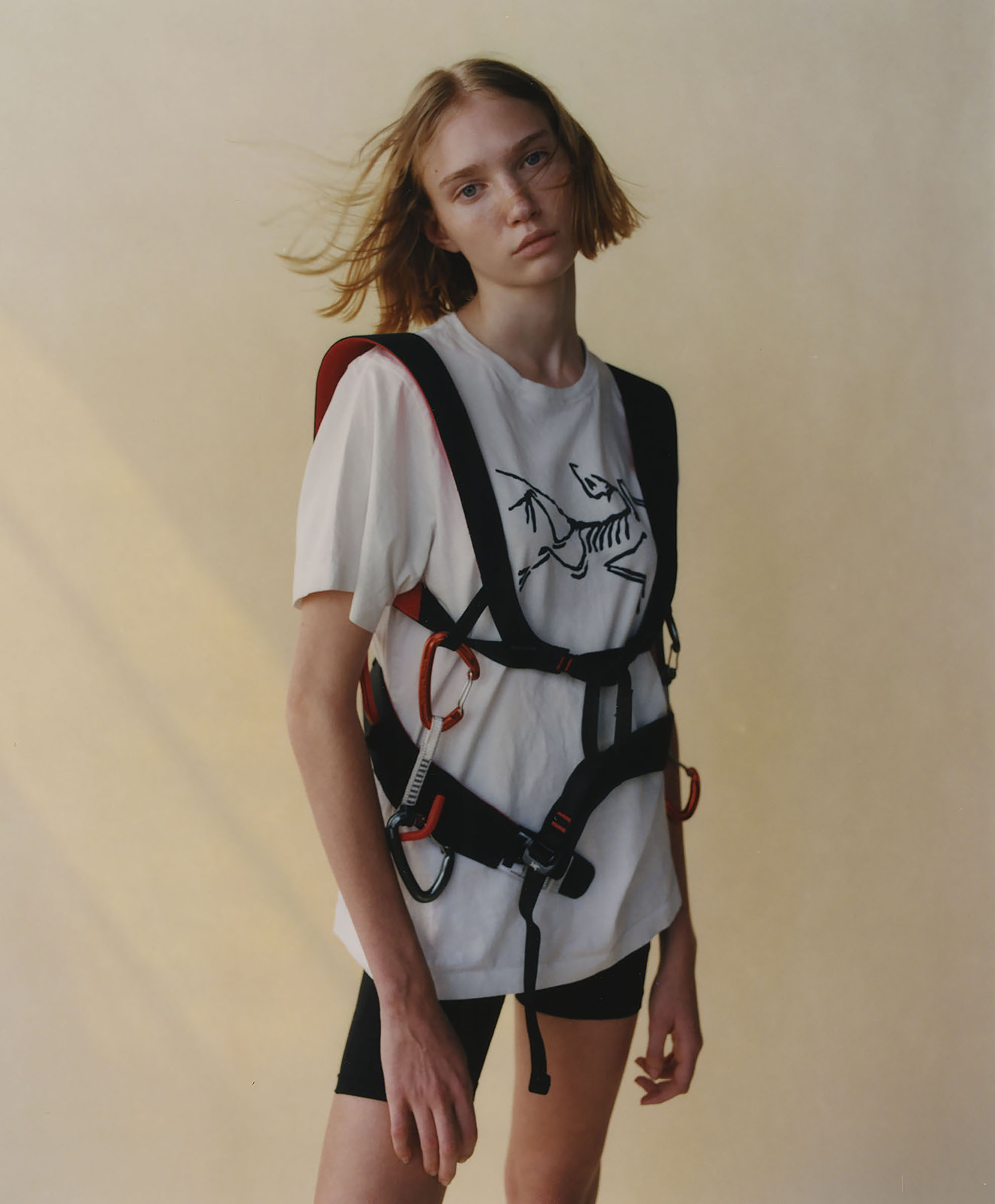 Talent and Partner, Vavá Ribeiro: I-D — Arcteryx (Fig. 3)