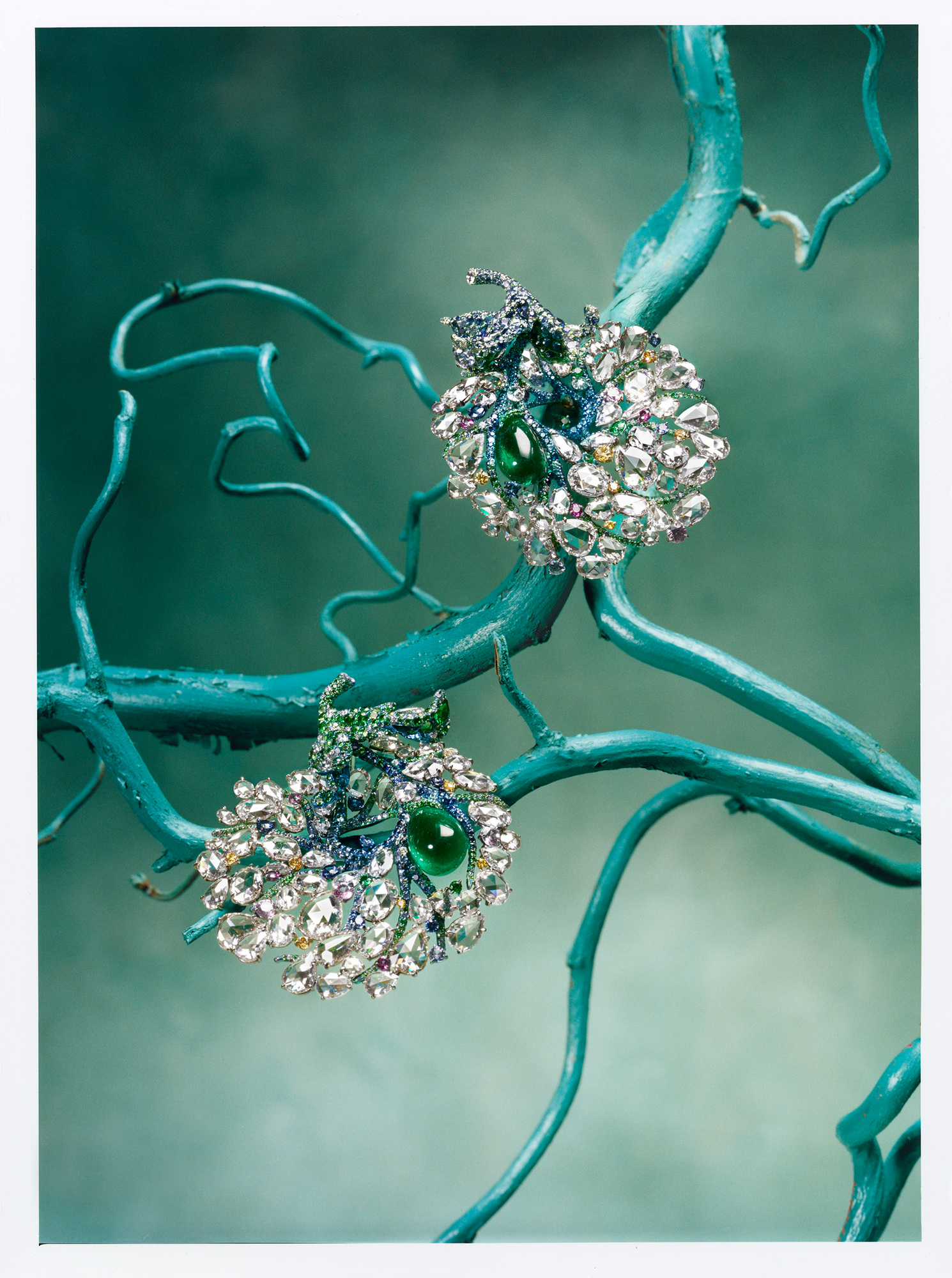 Talent and Partner, Leandro Farina: Portfolio (Fig. 50)