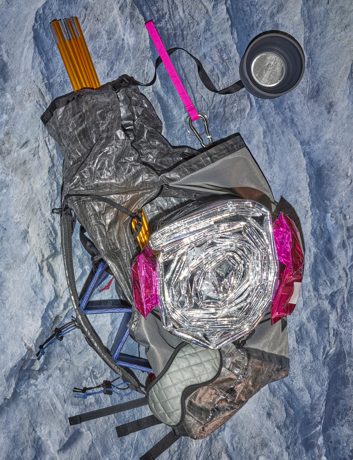 Talent and Partner, Scheltens & Abbenes: The Plant — Hiking (Fig. 1)