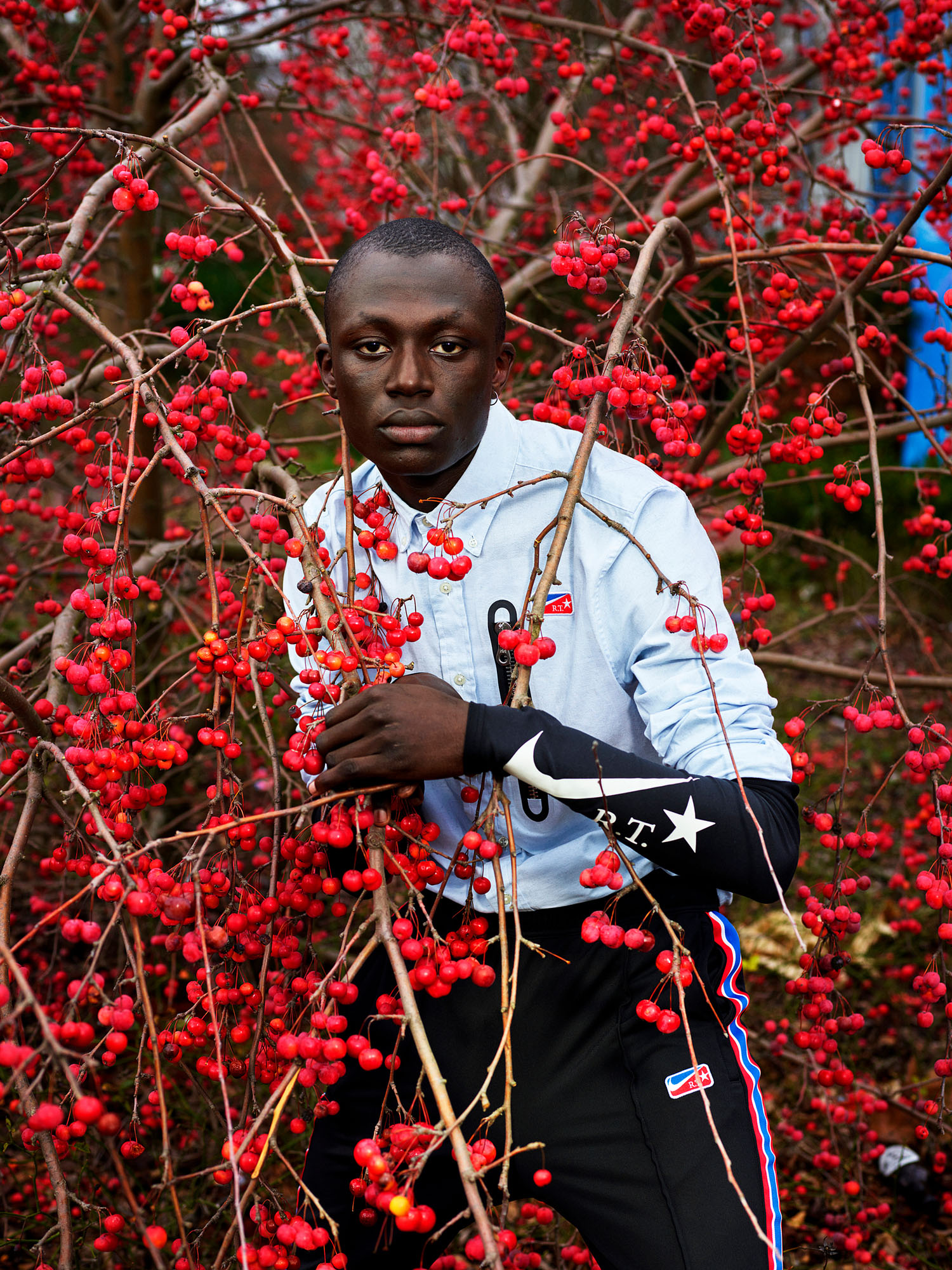 Talent and Partner, Pieter Hugo: Portfolio (Fig. 34)
