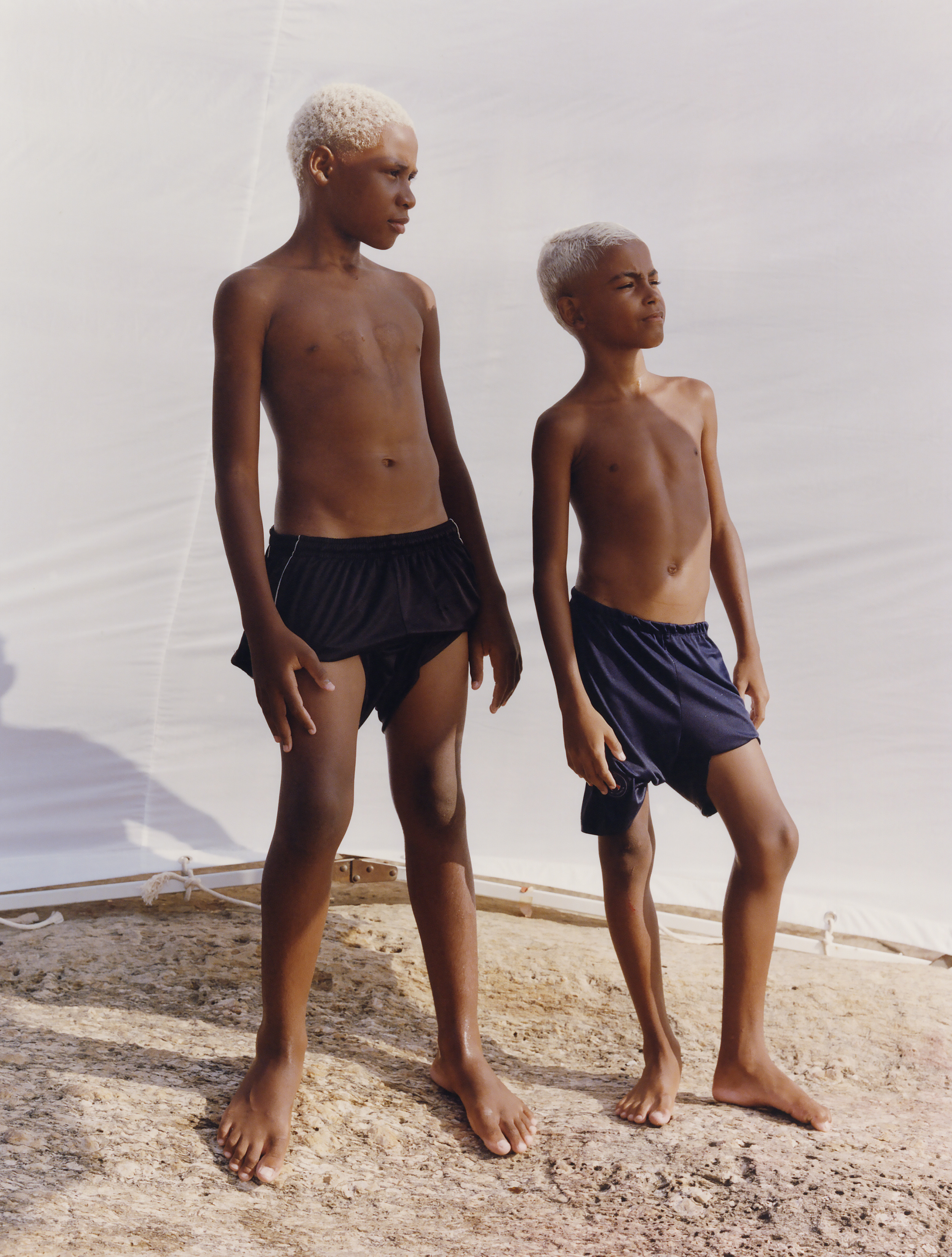 Talent and Partner, Vavá Ribeiro: Books & Personal Projects (Fig. 16)