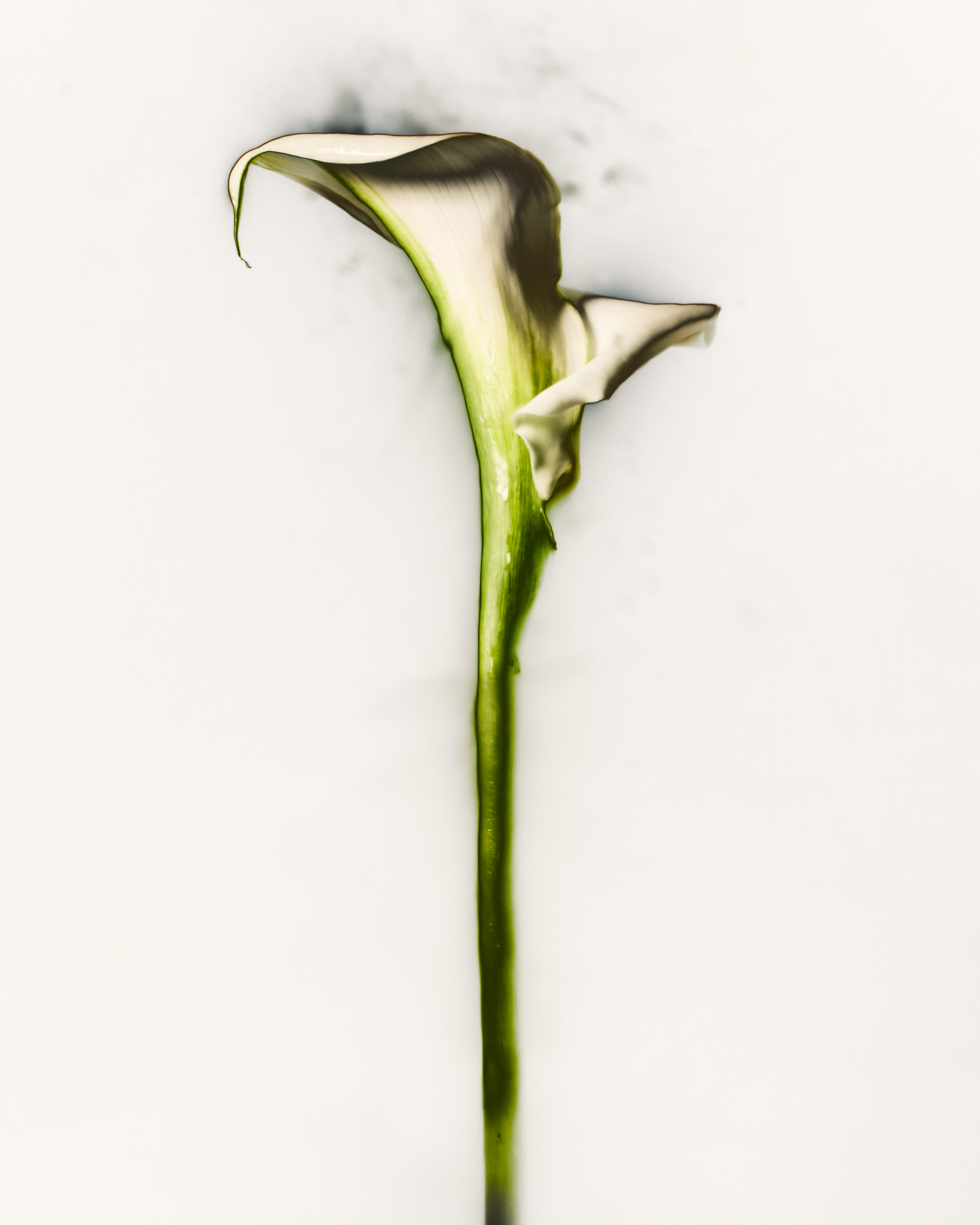 Talent and Partner, Nathan Robin: Jewelry & Watches (Fig. 47)