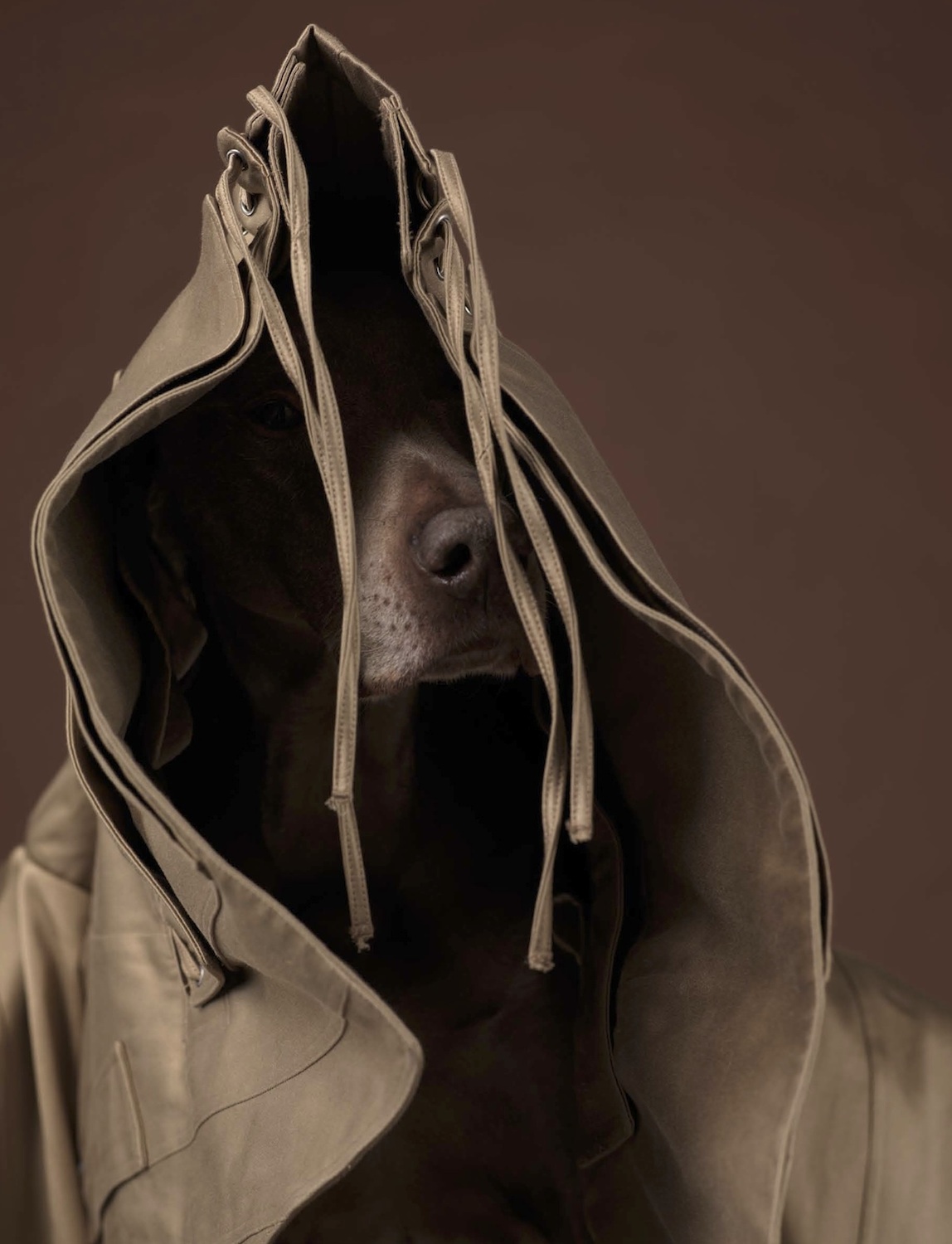 Talent and Partner, Samuel François: Portfolio (Fig. 133)