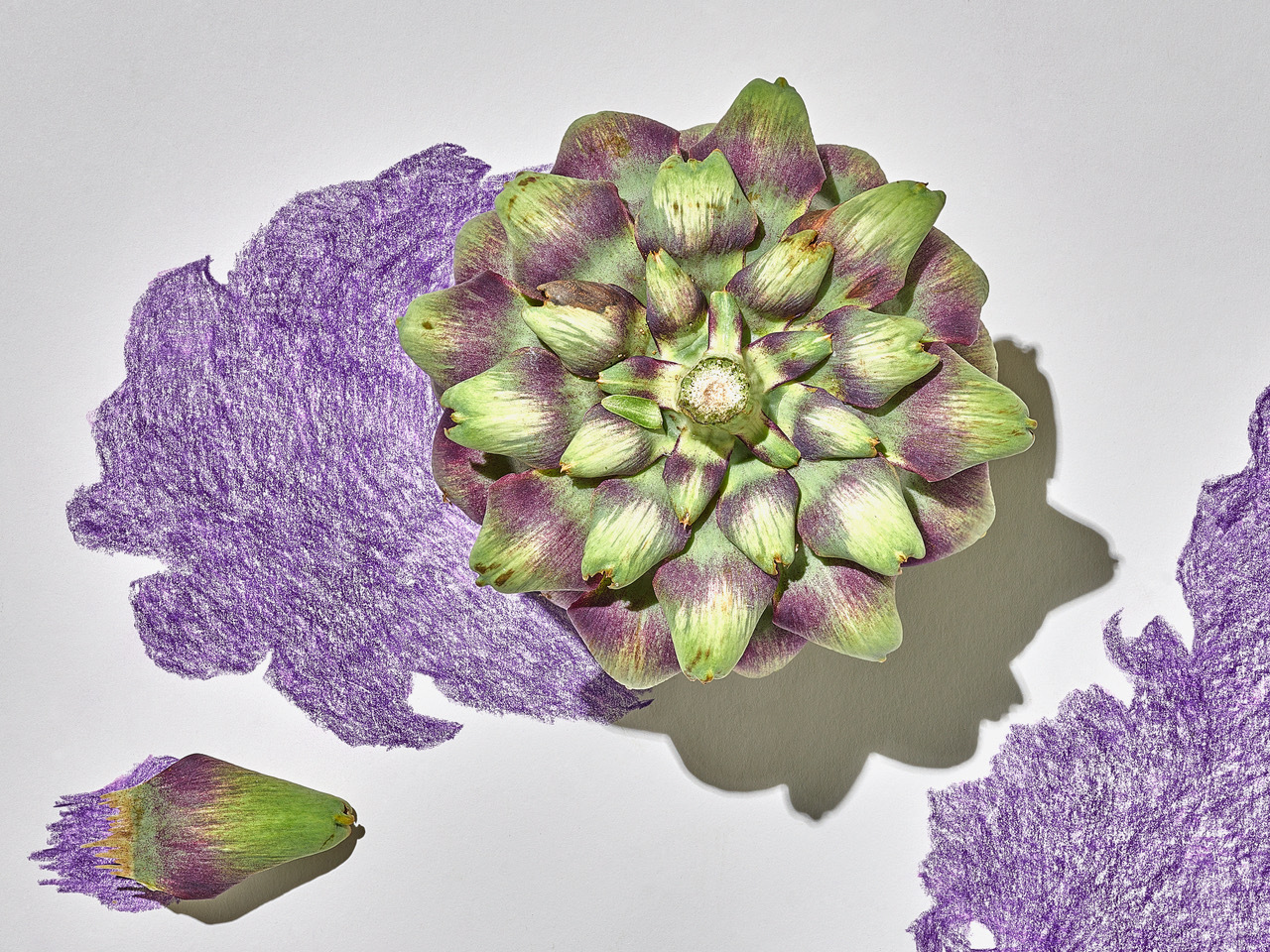 Talent and Partner, Scheltens & Abbenes: Editorial (Fig. 29)