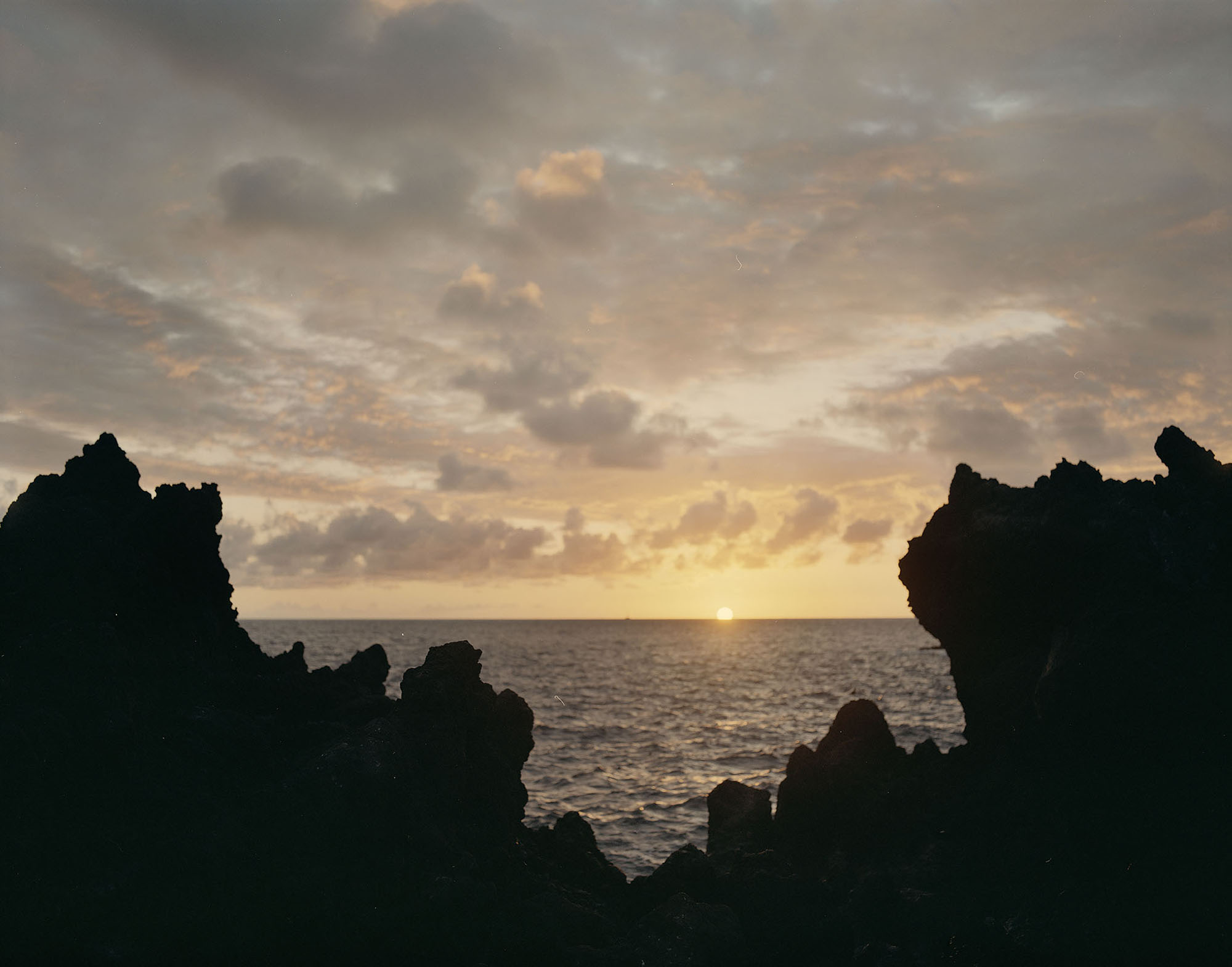 Talent and Partner, Vavá Ribeiro: Portfolio (Fig. 53)