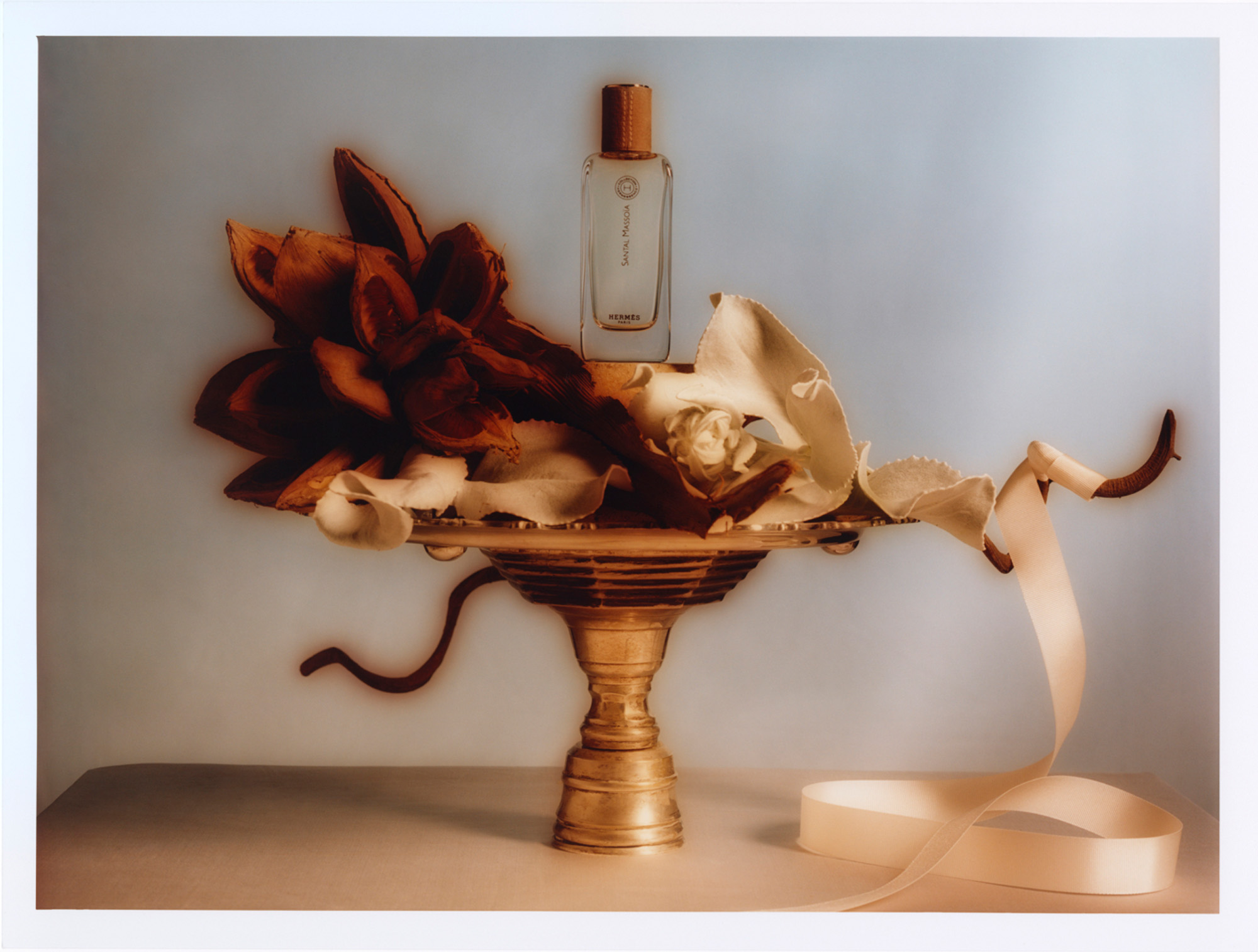 Talent and Partner, Leandro Farina: Portfolio (Fig. 27)