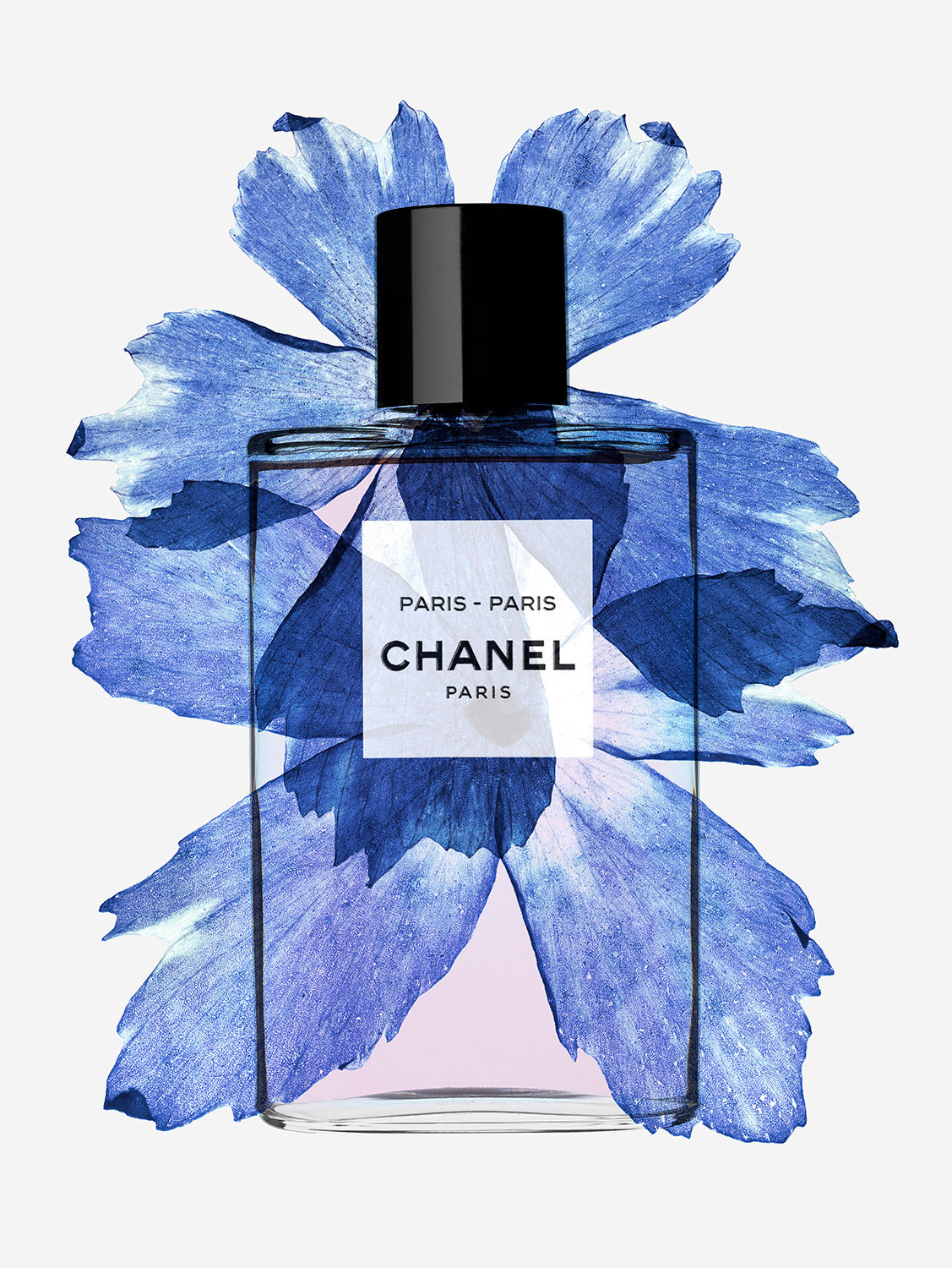 Talent and Partner, Simone Cavadini: Portfolio (Fig. 53)