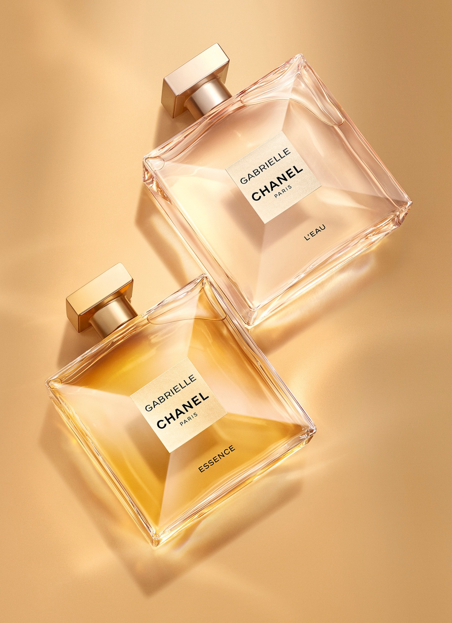 Talent and Partner, Simone Cavadini: Chanel - Gabrielle (Fig. 2)