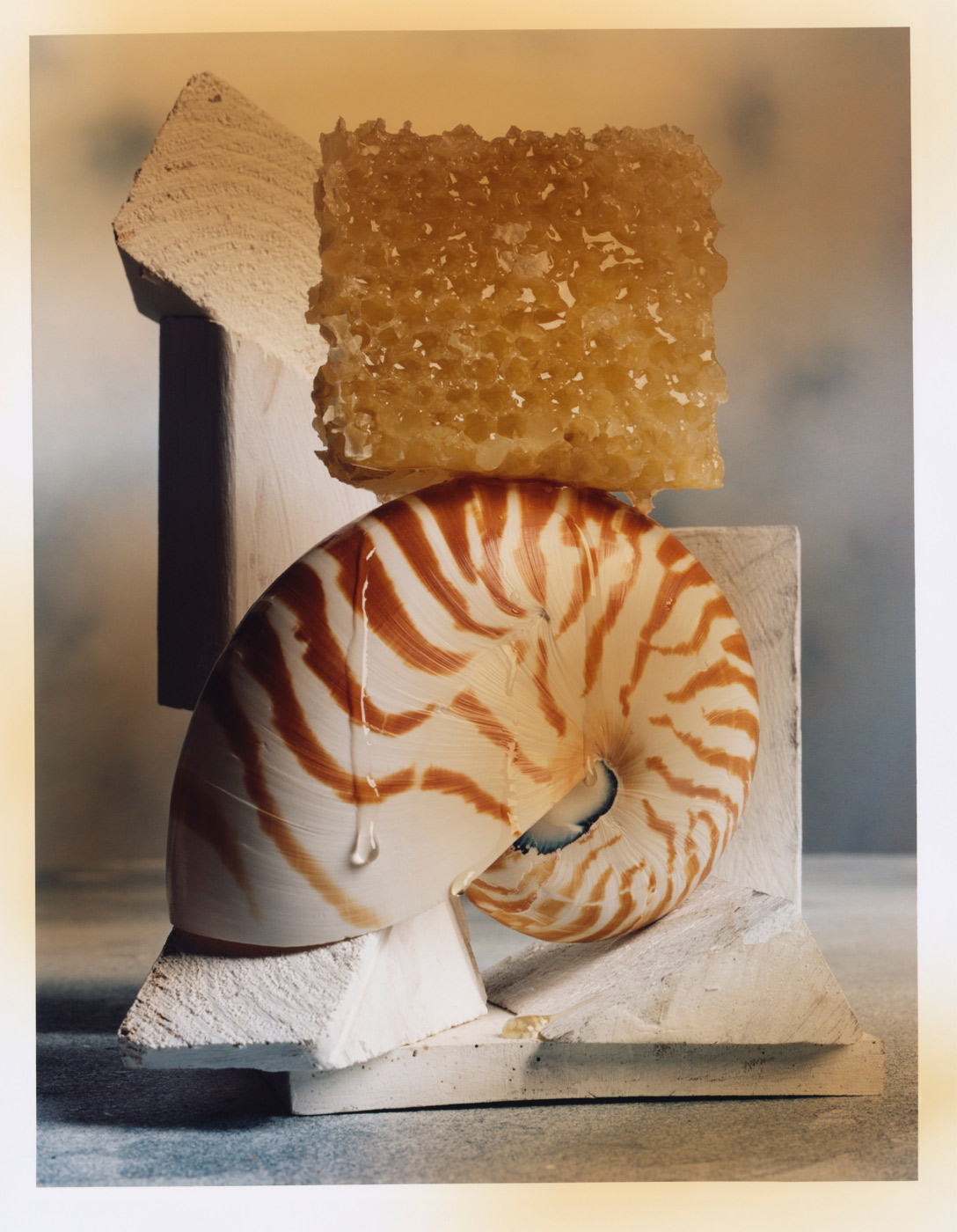 Talent and Partner, Leandro Farina: Portfolio (Fig. 3)