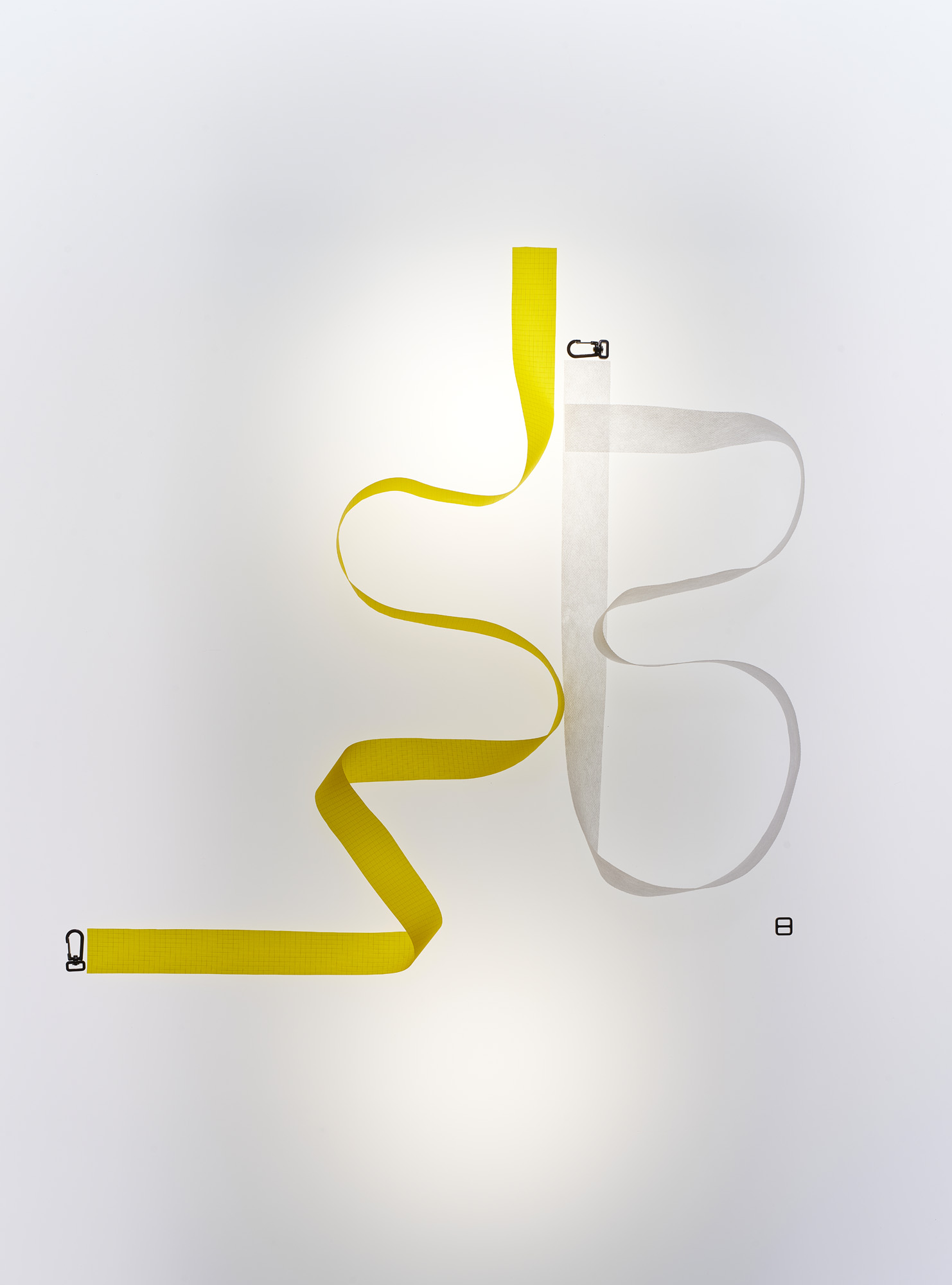 Talent and Partner, Scheltens & Abbenes: Susan Bijl — 25 years (Fig. 1)