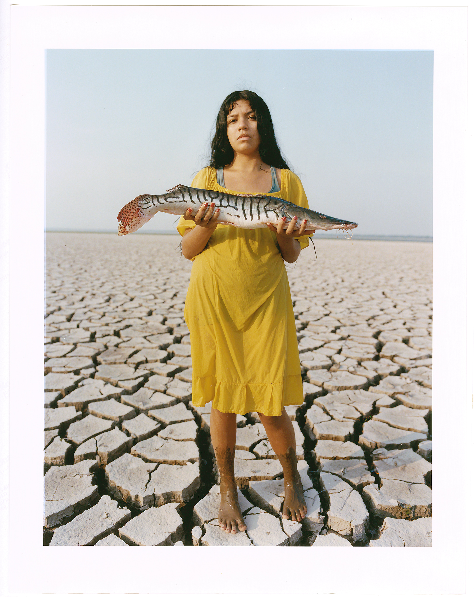 Talent and Partner, Vavá Ribeiro: Project — Encantado (Fig. 5)