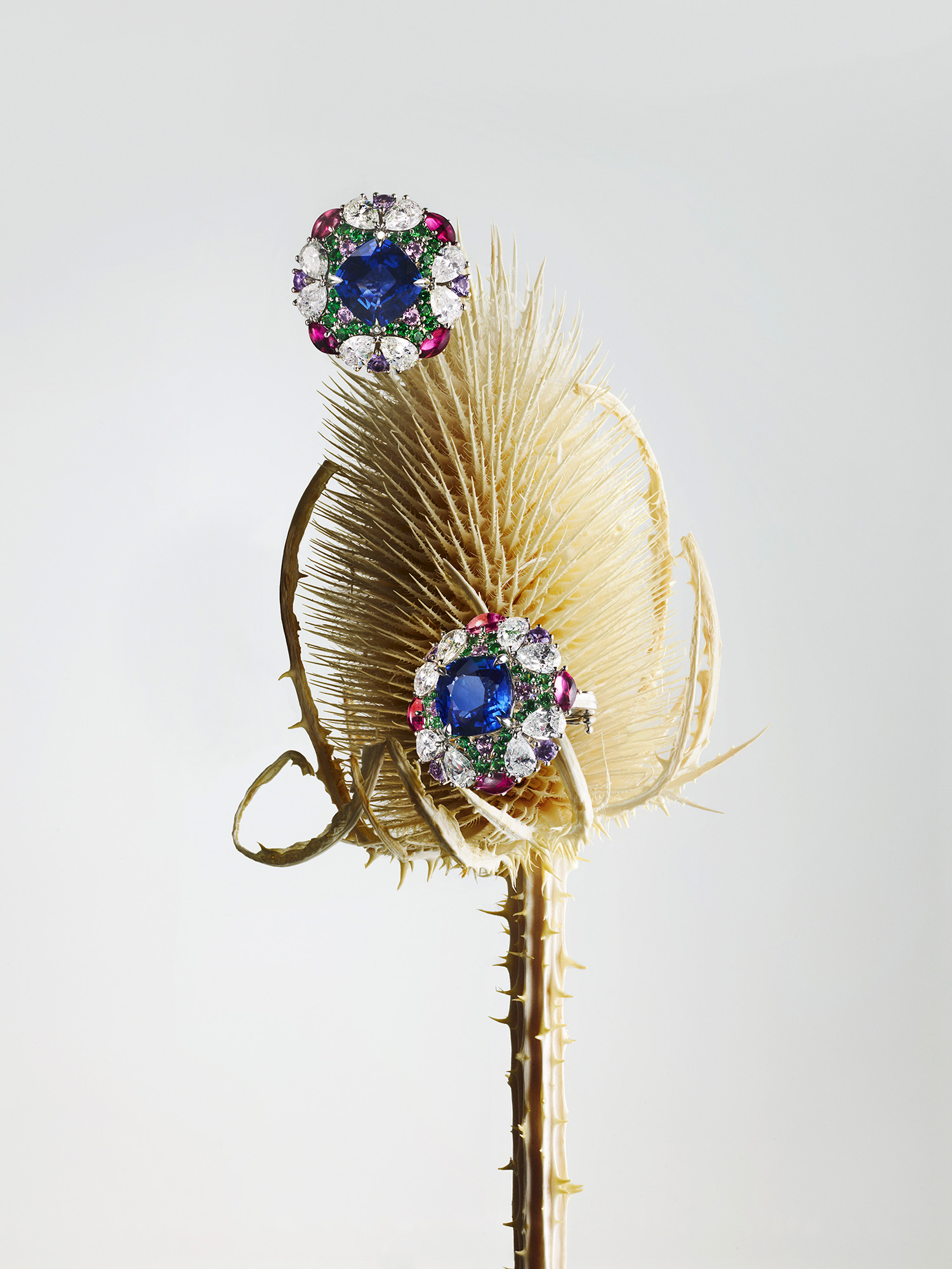 Talent and Partner, Leandro Farina: Commissions (Fig. 33)