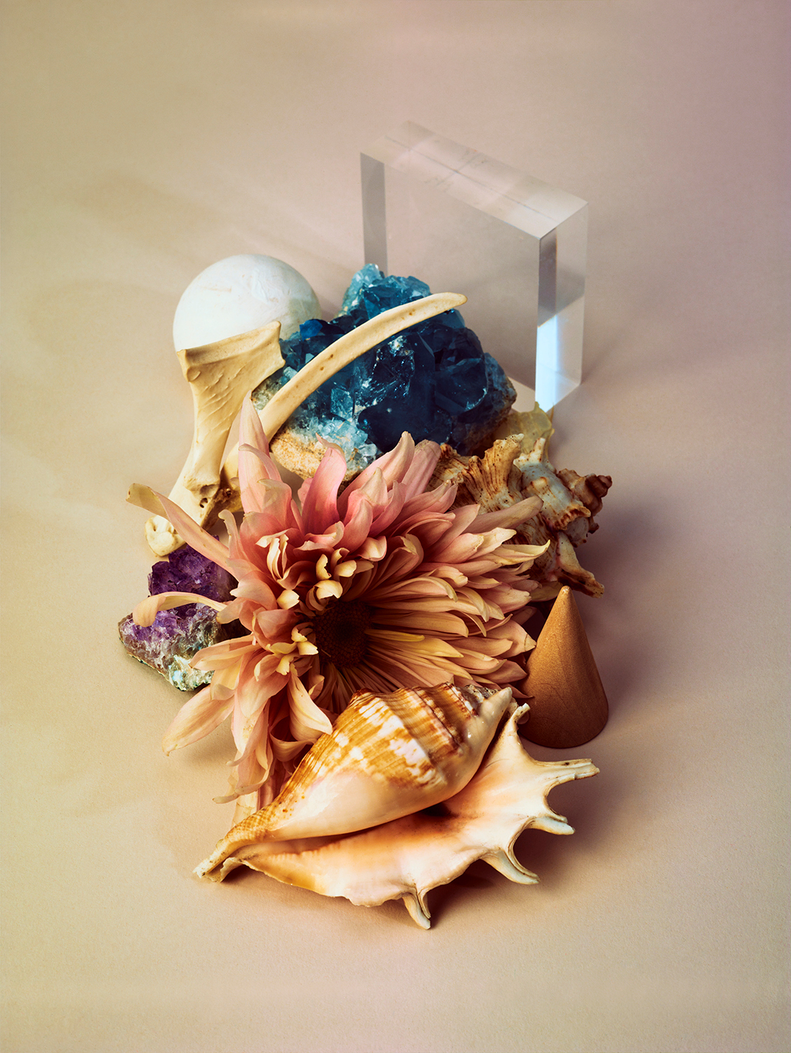 Talent and Partner, Leandro Farina: Portfolio (Fig. 2)