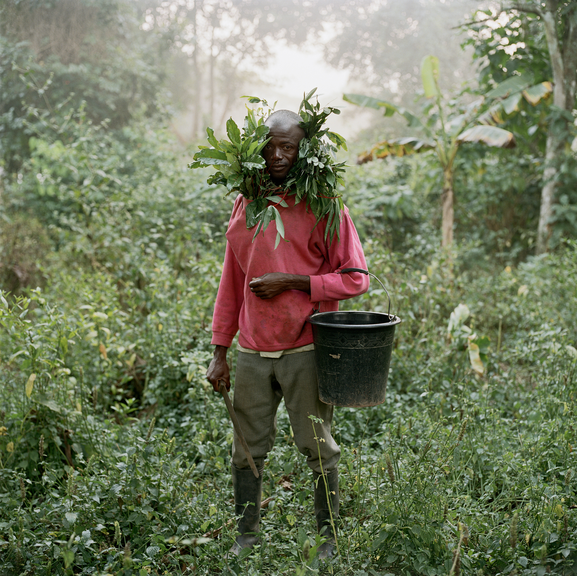 Talent and Partner, Pieter Hugo: Portfolio (Fig. 22)