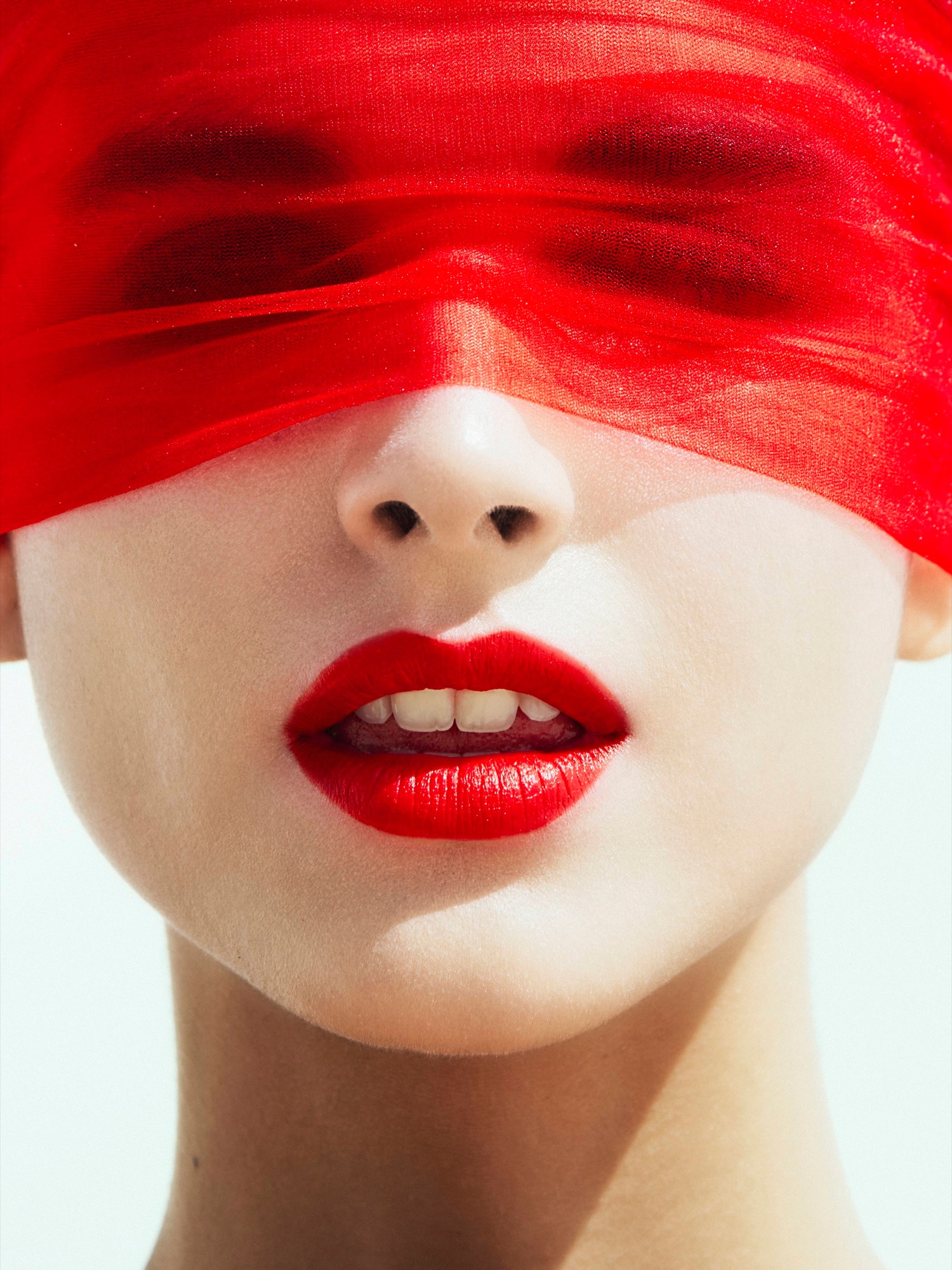 Talent and Partner, Samuel François: Portfolio (Fig. 65)