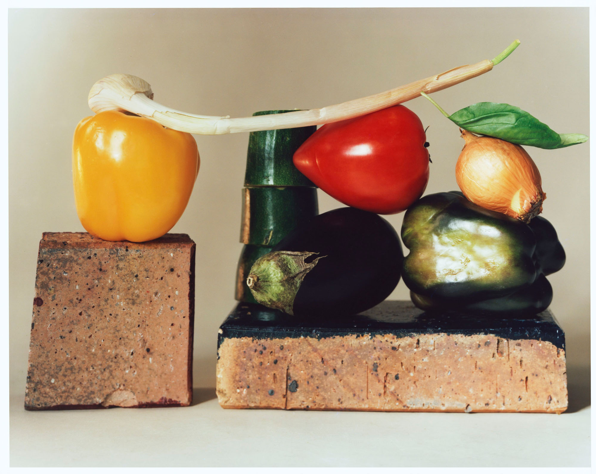 Talent and Partner, Sophie Glasser: Holiday Magazine (Fig. 1)