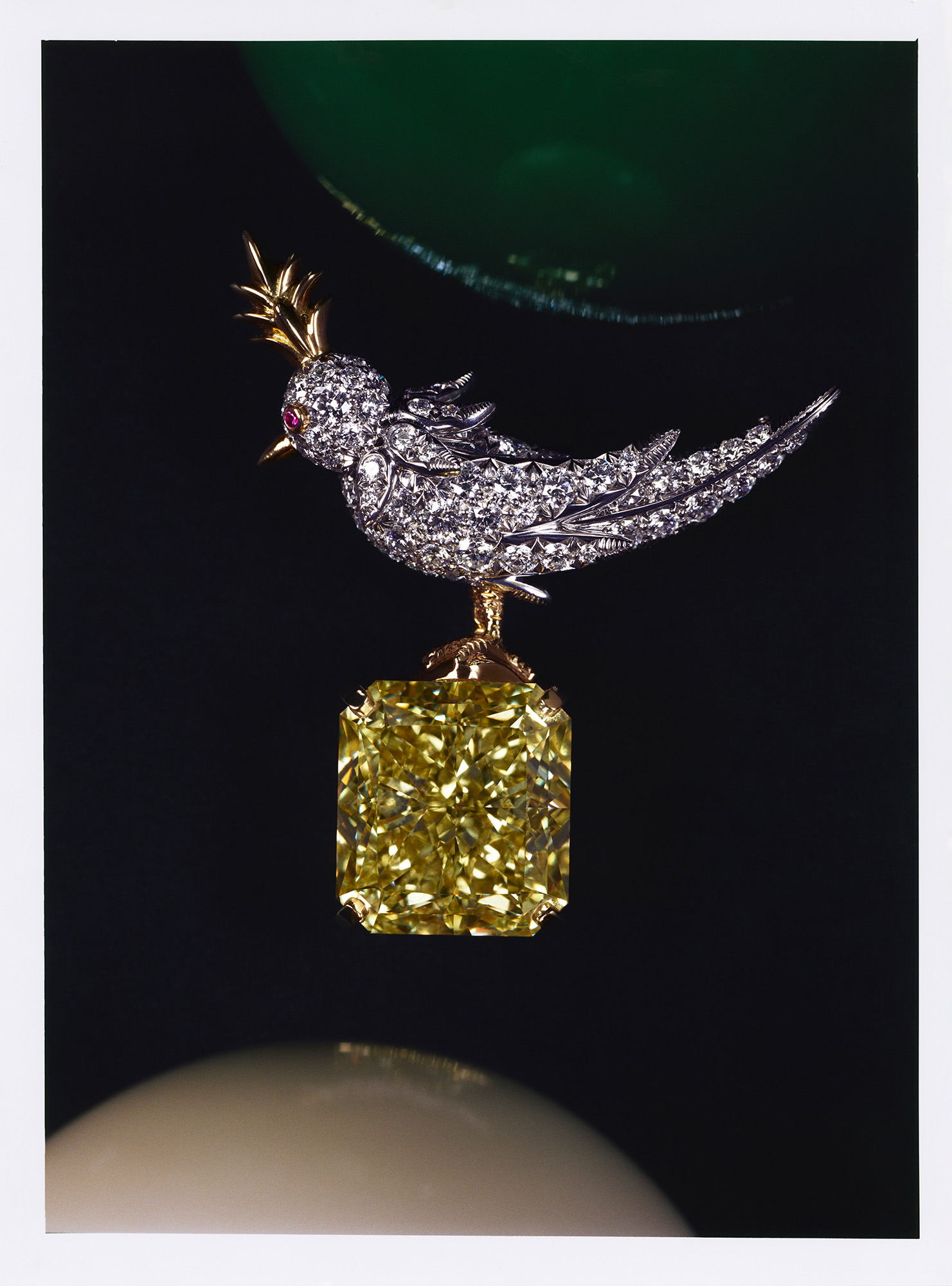 Talent and Partner, Leandro Farina: Harrods Man (Fig. 5)