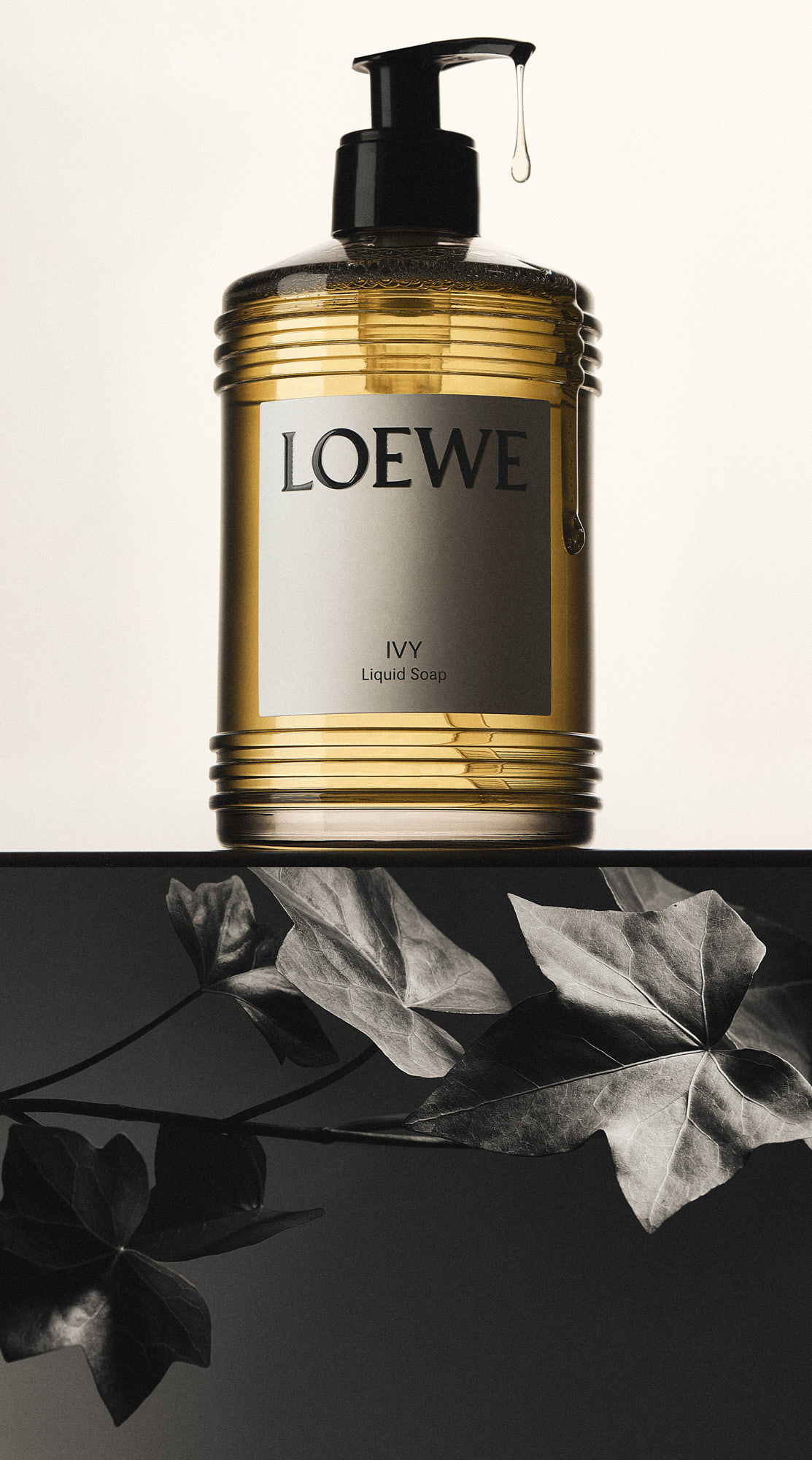 Talent and Partner, Nathan Robin: Portfolio (Fig. 65)