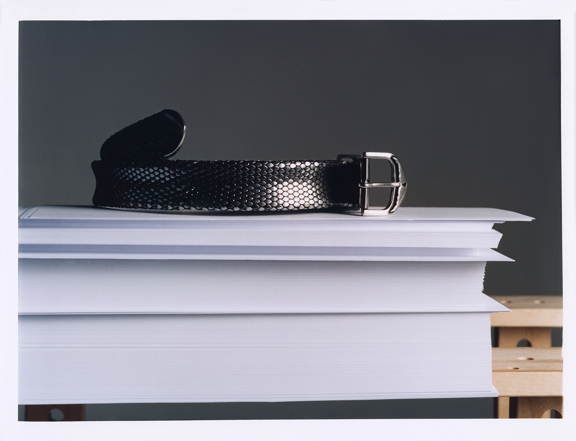 Talent and Partner, Leandro Farina: Portfolio (Fig. 13)