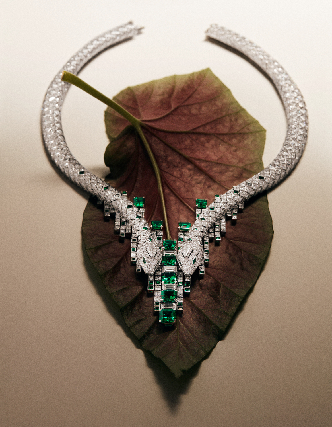 Talent and Partner, Nathan Robin: Portfolio (Fig. 81)