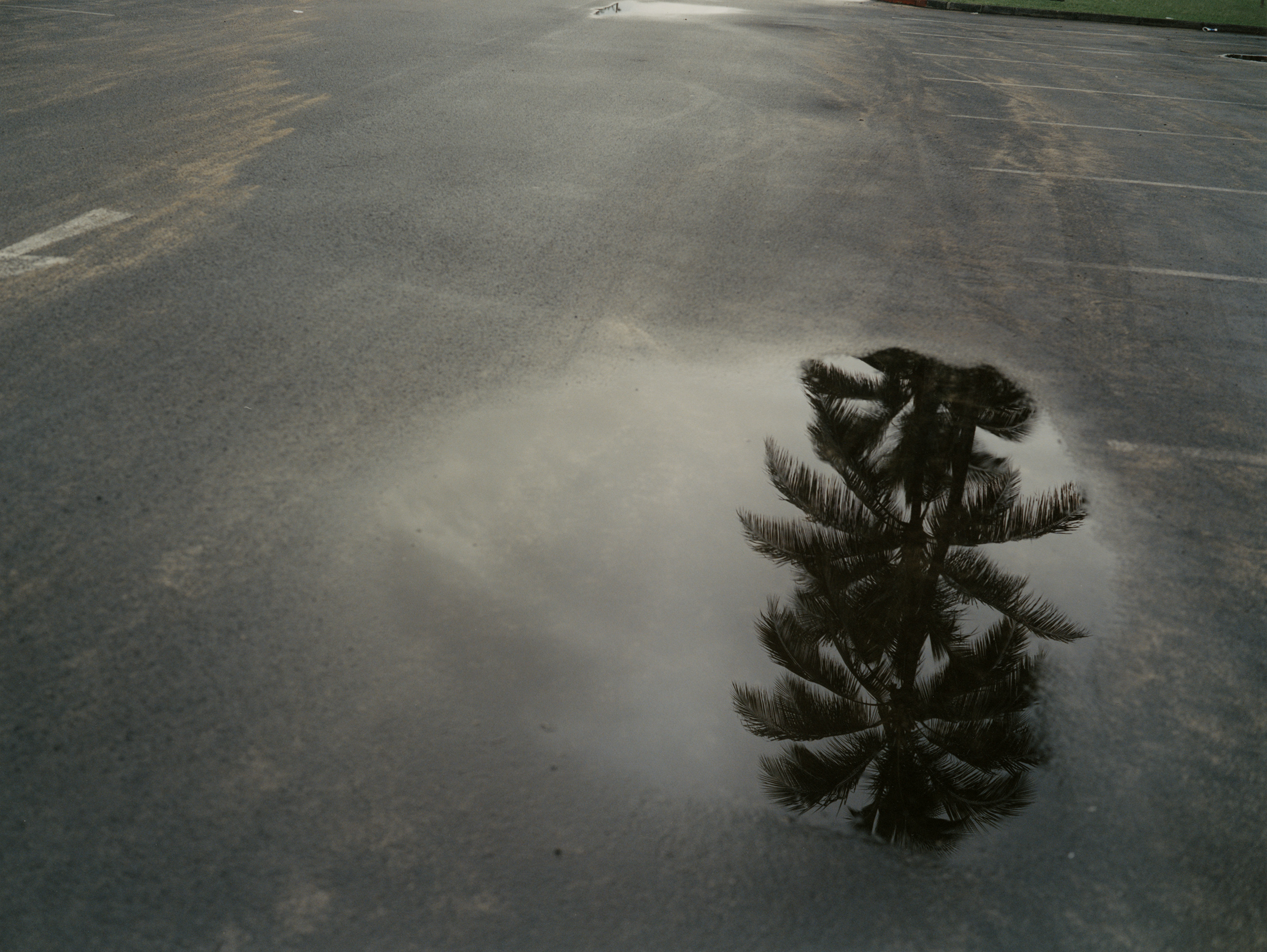 Talent and Partner, Vavá Ribeiro: Book — North Shore (Fig. 13)