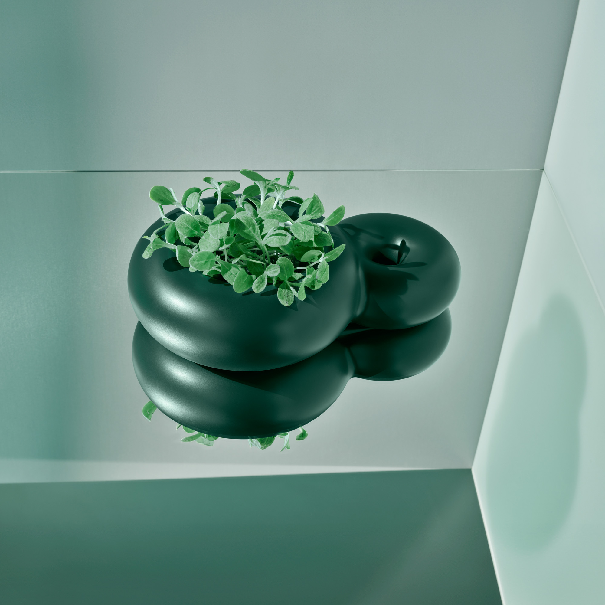 Talent and Partner, Scheltens & Abbenes: XL Extralight — Sabine Marcelis (Fig. 5)