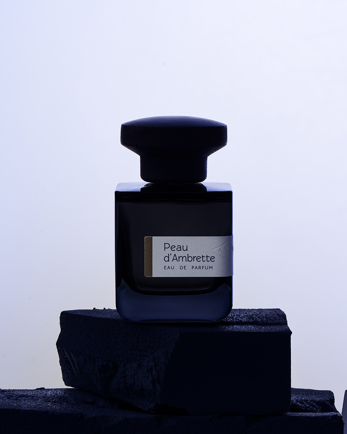 Talent and Partner, Aurore Piedigrossi: Portfolio (Fig. 100)