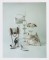 Talent and Partner, Aurore Piedigrossi: Portfolio (Fig. 58)