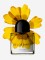 Talent and Partner, Simone Cavadini: Perfumes & Cosmetics (Fig. 23)