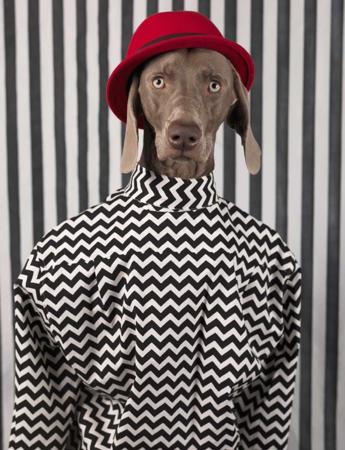 Talent and Partner, Samuel François: Portfolio (Fig. 132)