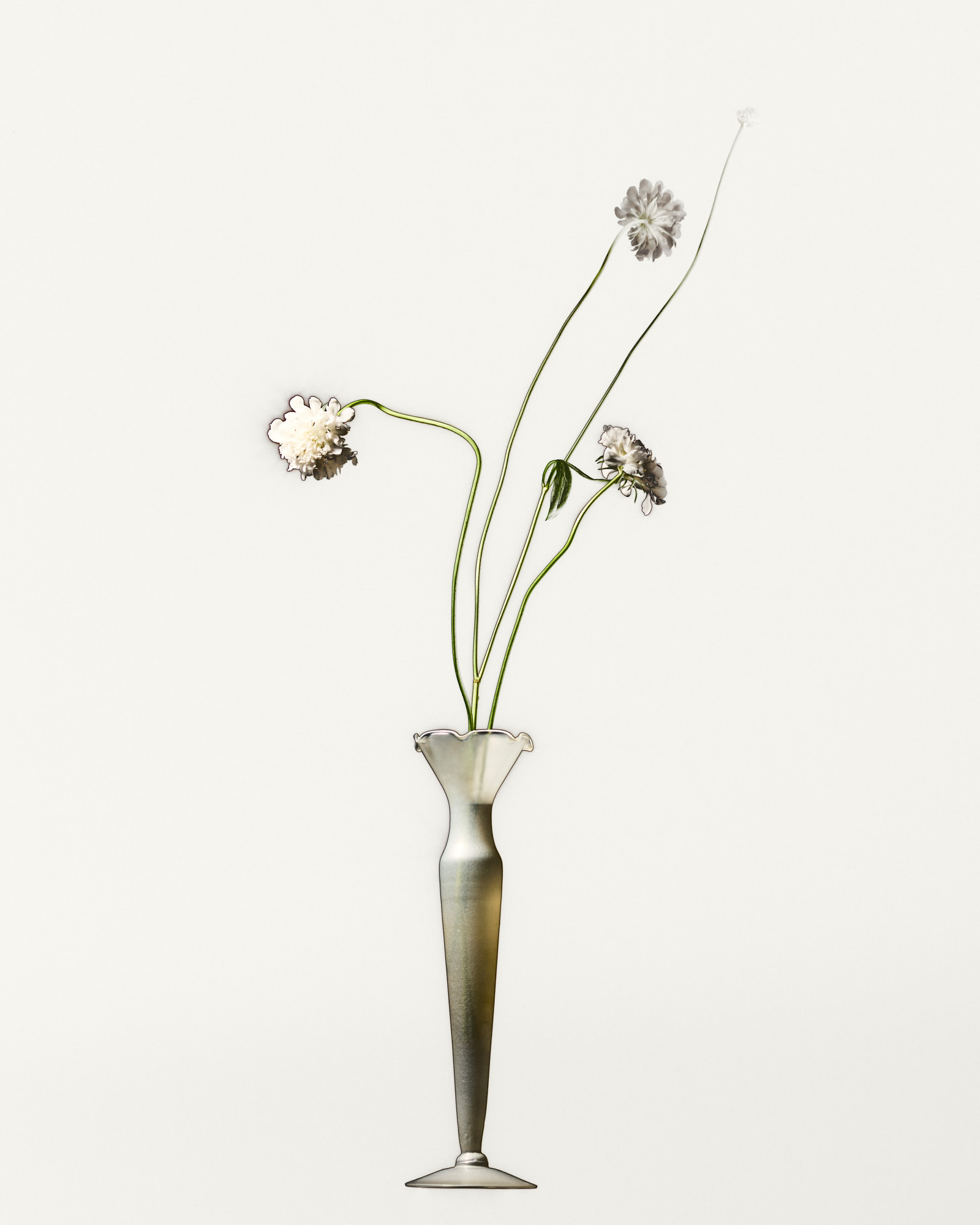 Talent and Partner, Nathan Robin: Solarisation (Fig. 4)