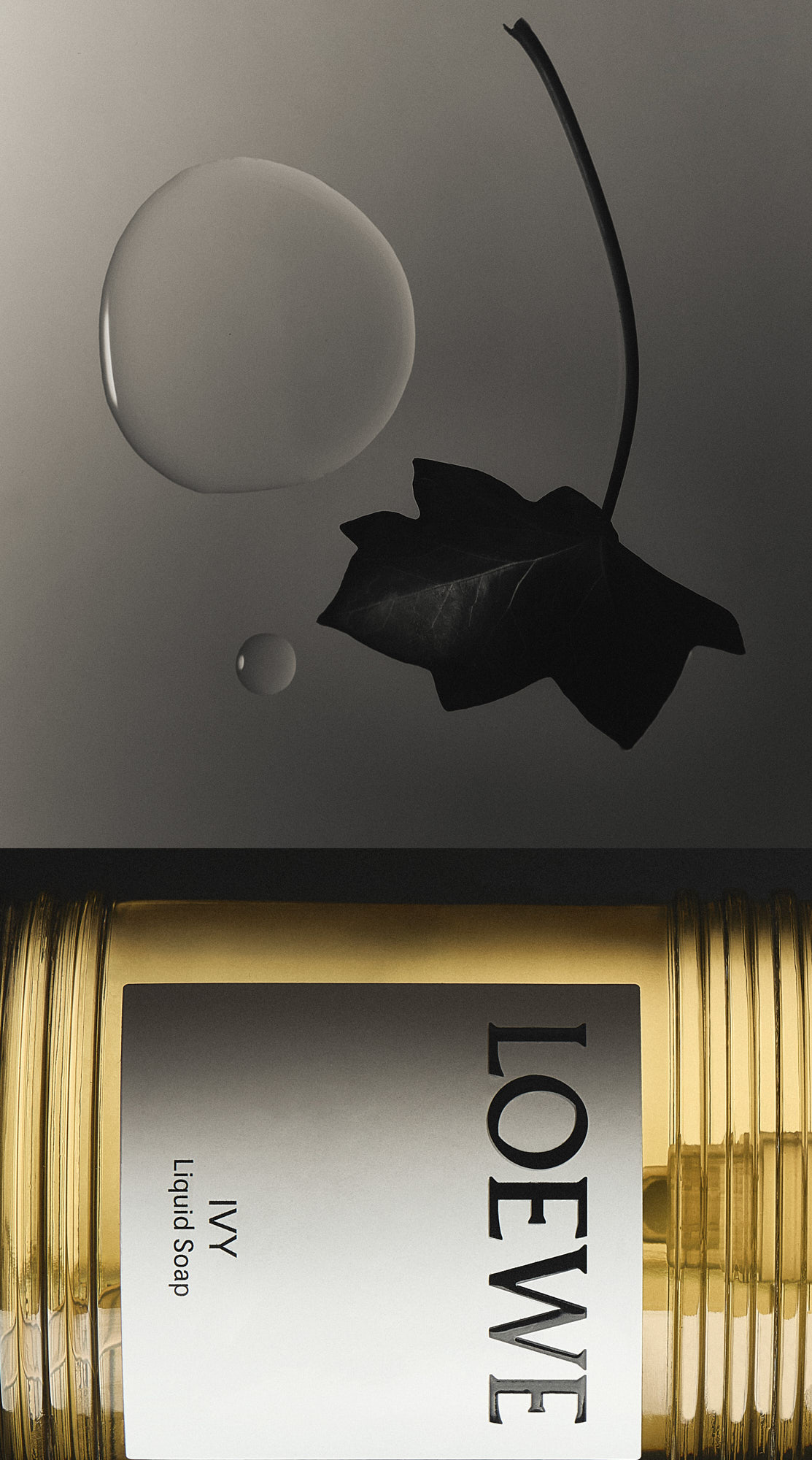 Talent and Partner, Nathan Robin: Portfolio (Fig. 66)